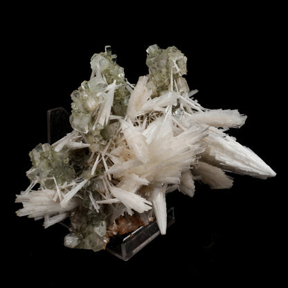 Scolecite Sprays with green Apophyllite cube Natural Mineral Specimen # B 6548 Scolecite Superb Minerals 