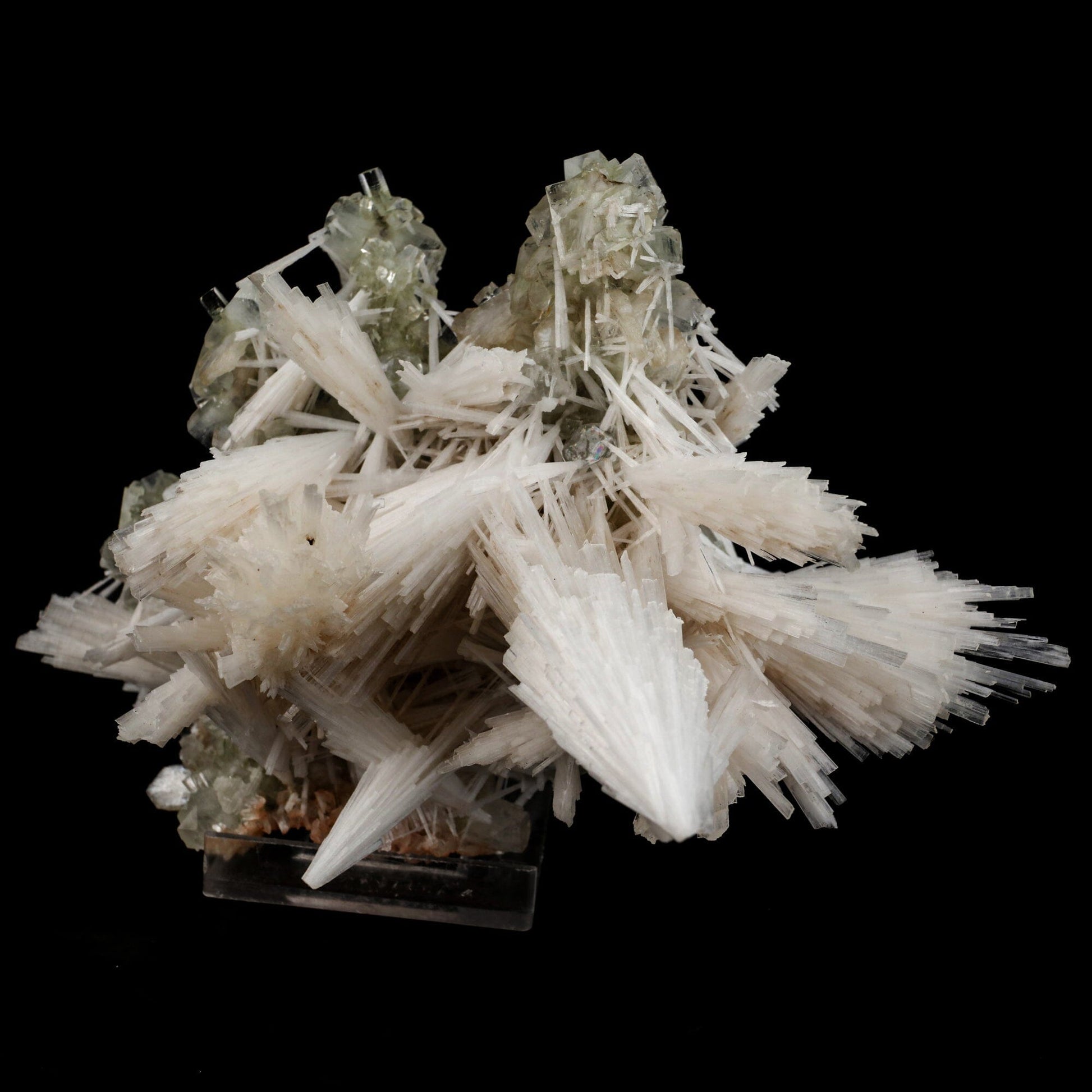 Scolecite Sprays with green Apophyllite cube Natural Mineral Specimen # B 6548 Scolecite Superb Minerals 