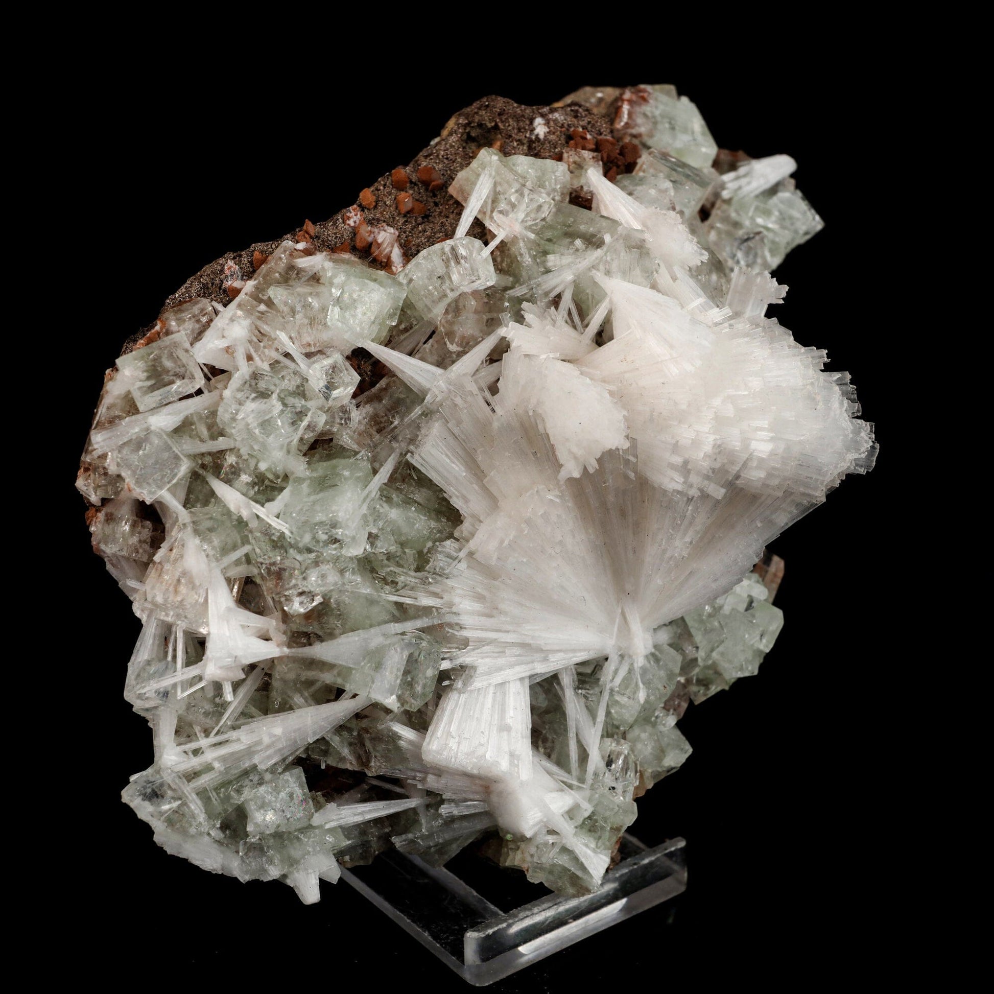 Scolecite Sprays with green Apophyllite cube Natural Mineral Specimen # B 6557 Fluorite Superb Minerals 