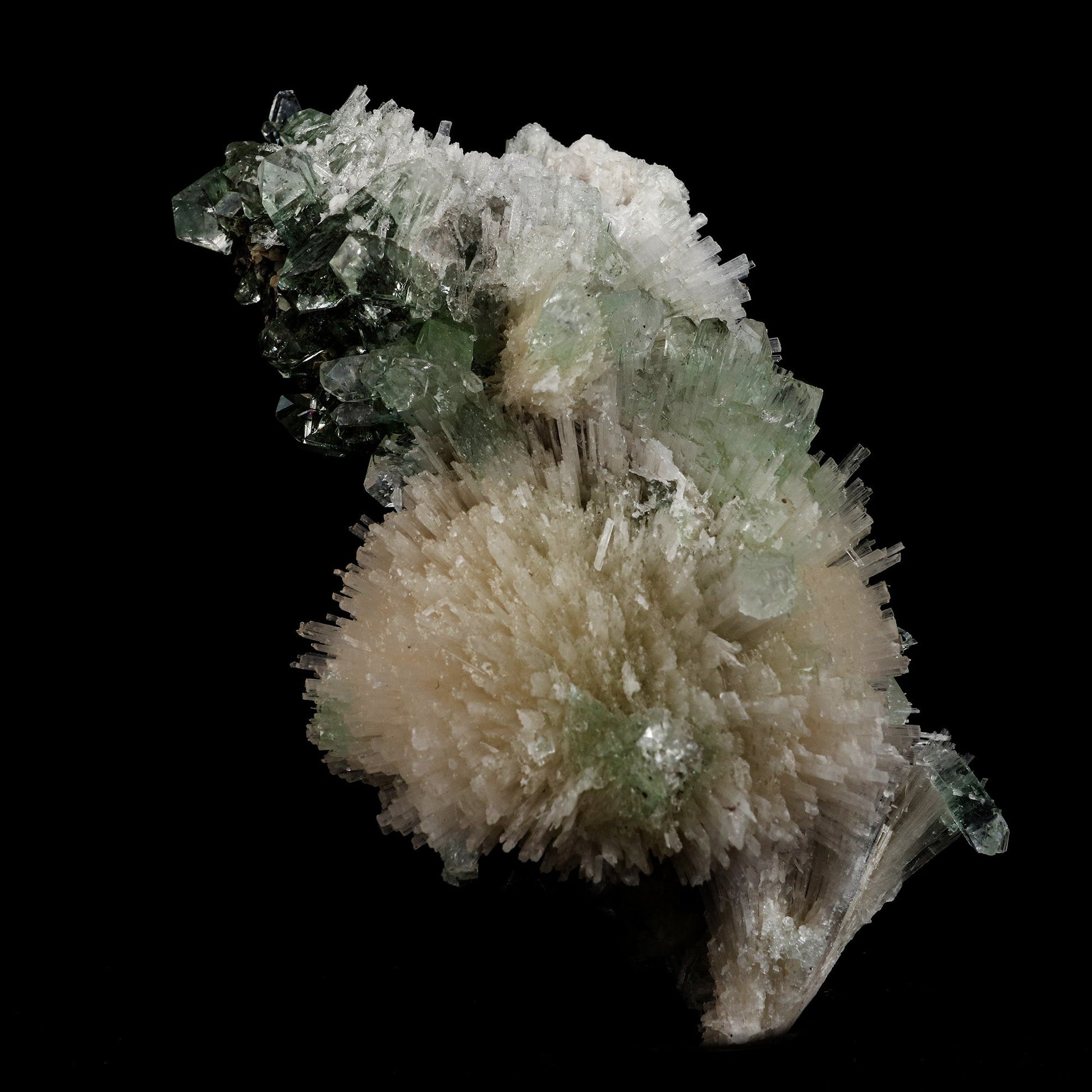 Scolecite Sprays with Green Apophyllite Natural Mineral Specimen # B …  https://www.superbminerals.us/products/scolecite-sprays-with-green-apophyllite-natural-mineral-specimen-b-5106  Features: Very rich porcupine quill spray of glassy scolecite needles is artistically set on the basalt matrix, which is covered with mint-green, frosted, Tetragonal Apophyllite crystals. Large combination material that is both outstanding and rare in today's market. Primary Mineral(s): Apophyllite