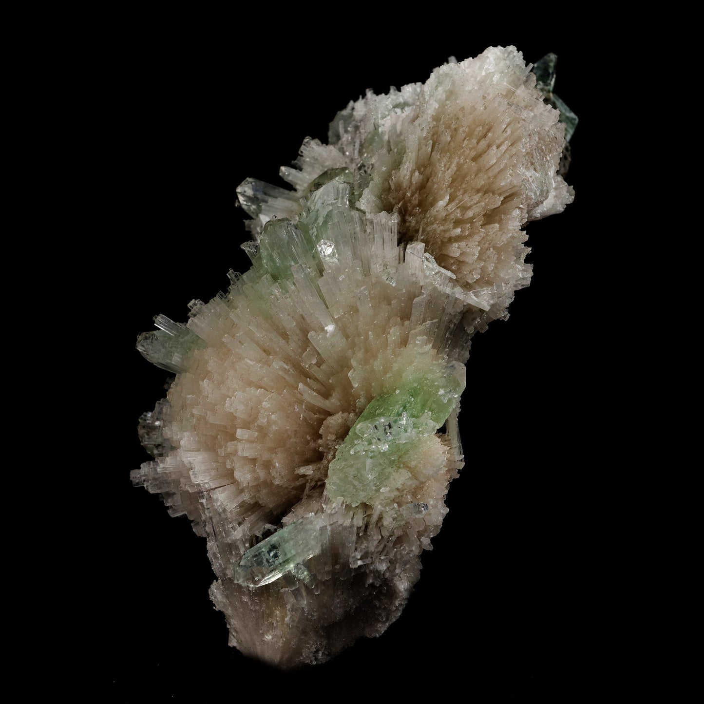 Scolecite Sprays with Green Apophyllite Natural Mineral Specimen # B …  https://www.superbminerals.us/products/scolecite-sprays-with-green-apophyllite-natural-mineral-specimen-b-5106  Features: Very rich porcupine quill spray of glassy scolecite needles is artistically set on the basalt matrix, which is covered with mint-green, frosted, Tetragonal Apophyllite crystals. Large combination material that is both outstanding and rare in today's market. Primary Mineral(s): Apophyllite