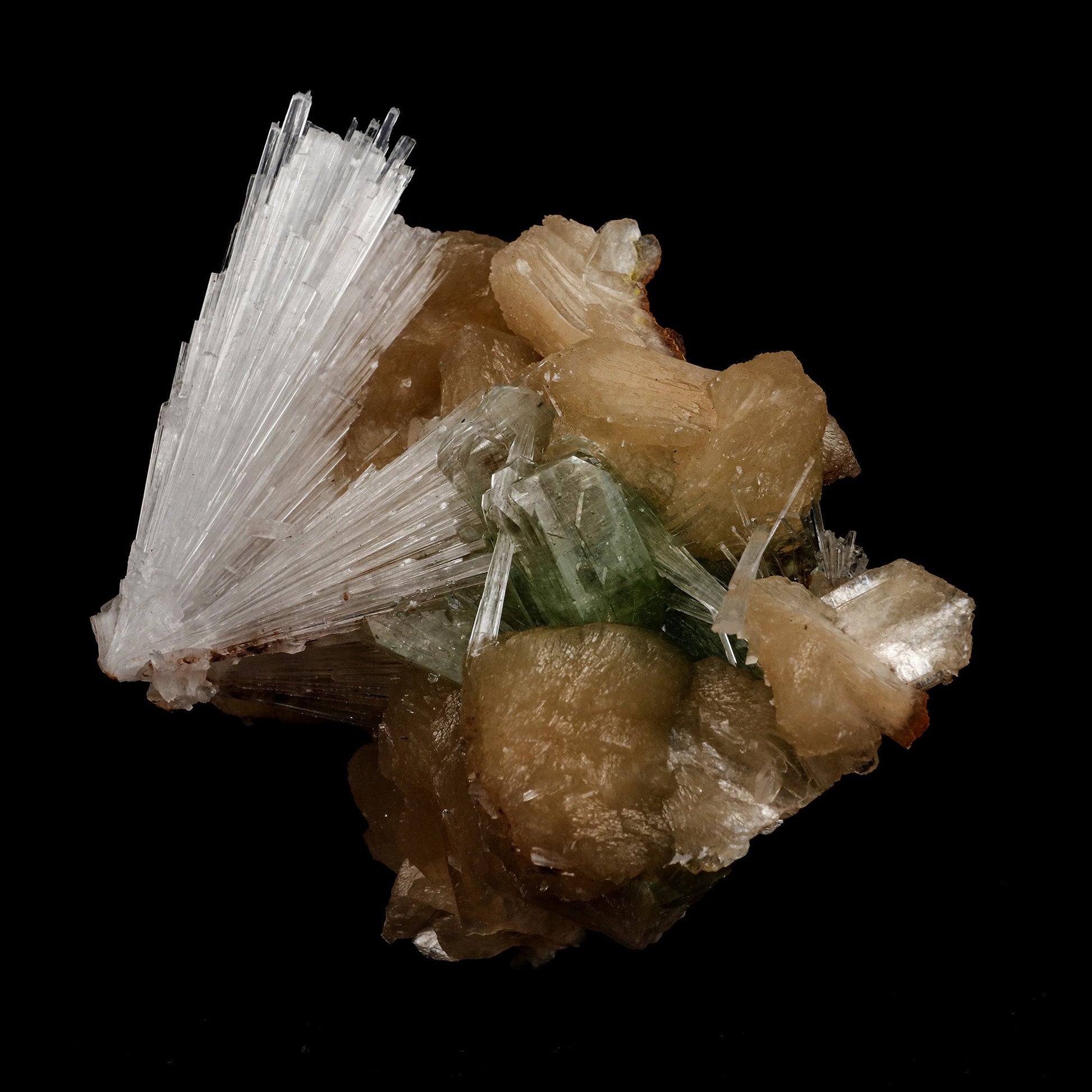 Scolecite Sprays with Green Apophyllite on Stilbite Natural Mineral Sp…  https://www.superbminerals.us/products/scolecite-sprays-with-green-apophyllite-on-stilbite-natural-mineral-specimen-b-5250  Features: A group of thin scolecite crystals with an elongated prism and transparence in the terminal crystal area. They form radial aggregates penetrating apophyllite crystals and disposed randomly. There are tetragonal prisms and a few pyramidal faces on the top and base, along with great luster 