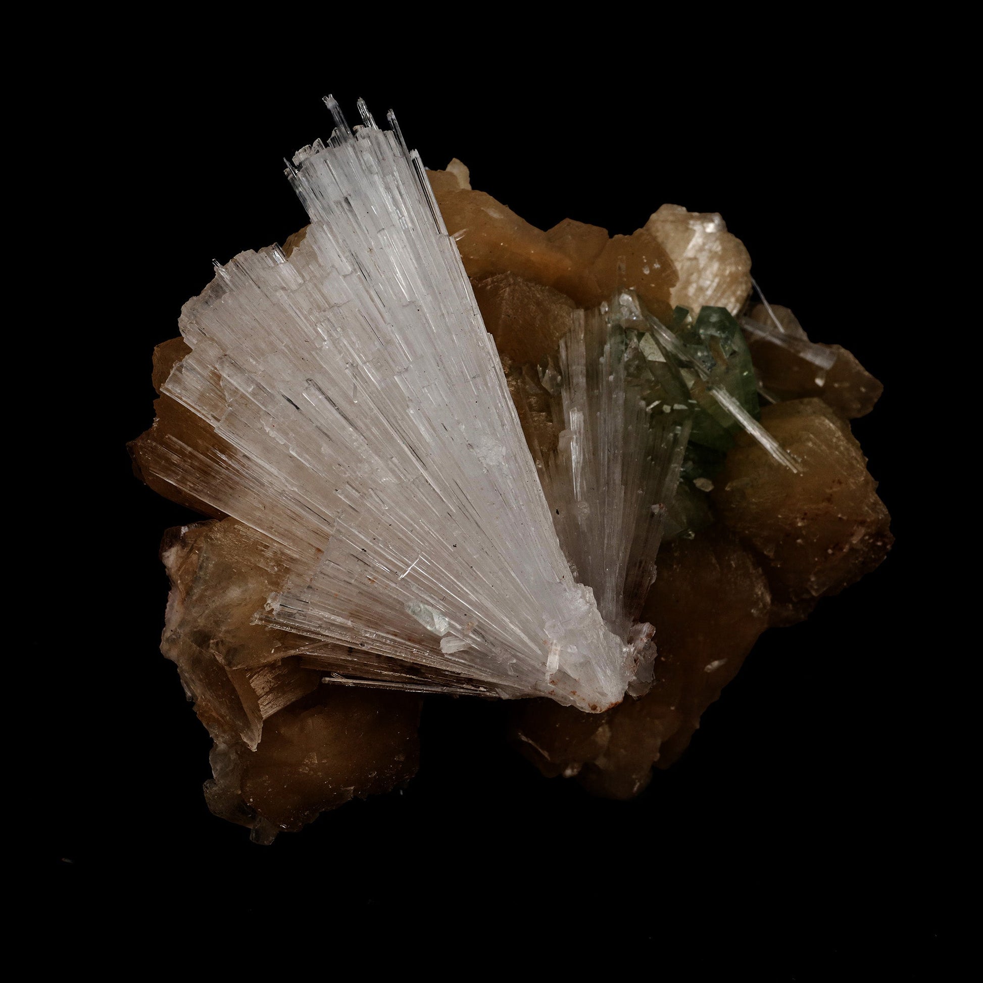 Scolecite Sprays with Green Apophyllite on Stilbite Natural Mineral Sp…  https://www.superbminerals.us/products/scolecite-sprays-with-green-apophyllite-on-stilbite-natural-mineral-specimen-b-5250  Features: A group of thin scolecite crystals with an elongated prism and transparence in the terminal crystal area. They form radial aggregates penetrating apophyllite crystals and disposed randomly. There are tetragonal prisms and a few pyramidal faces on the top and base, along with great luster 