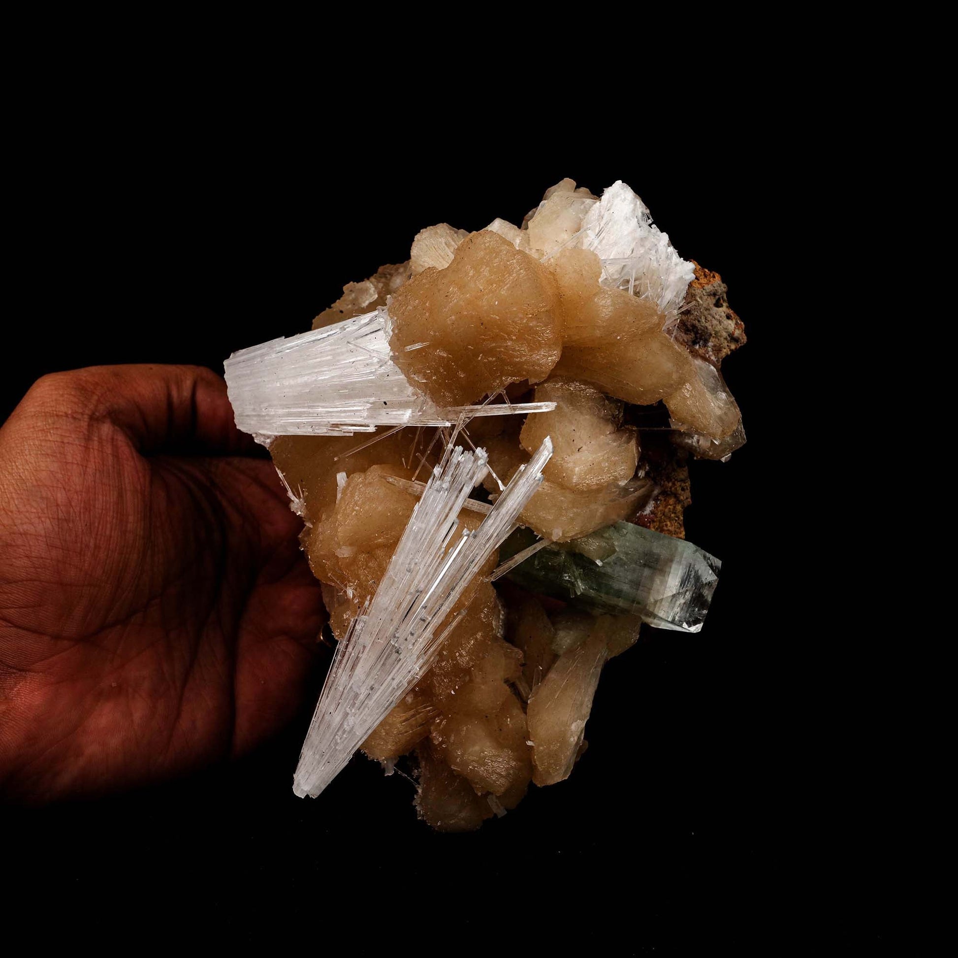 Scolecite Sprays with Green Apophyllite Sitlbite Natural Mineral Speci…  https://www.superbminerals.us/products/scolecite-sprays-with-green-apophyllite-sitlbite-natural-mineral-specimen-b-5189  Features: A very aesthetic combination piece featuring numerous large, lustrous green modified cubes on a dark-brown matrix hosting numerous acicular sprays of colorless to white, satiny Scolecite Primary Mineral(s): Scolecite