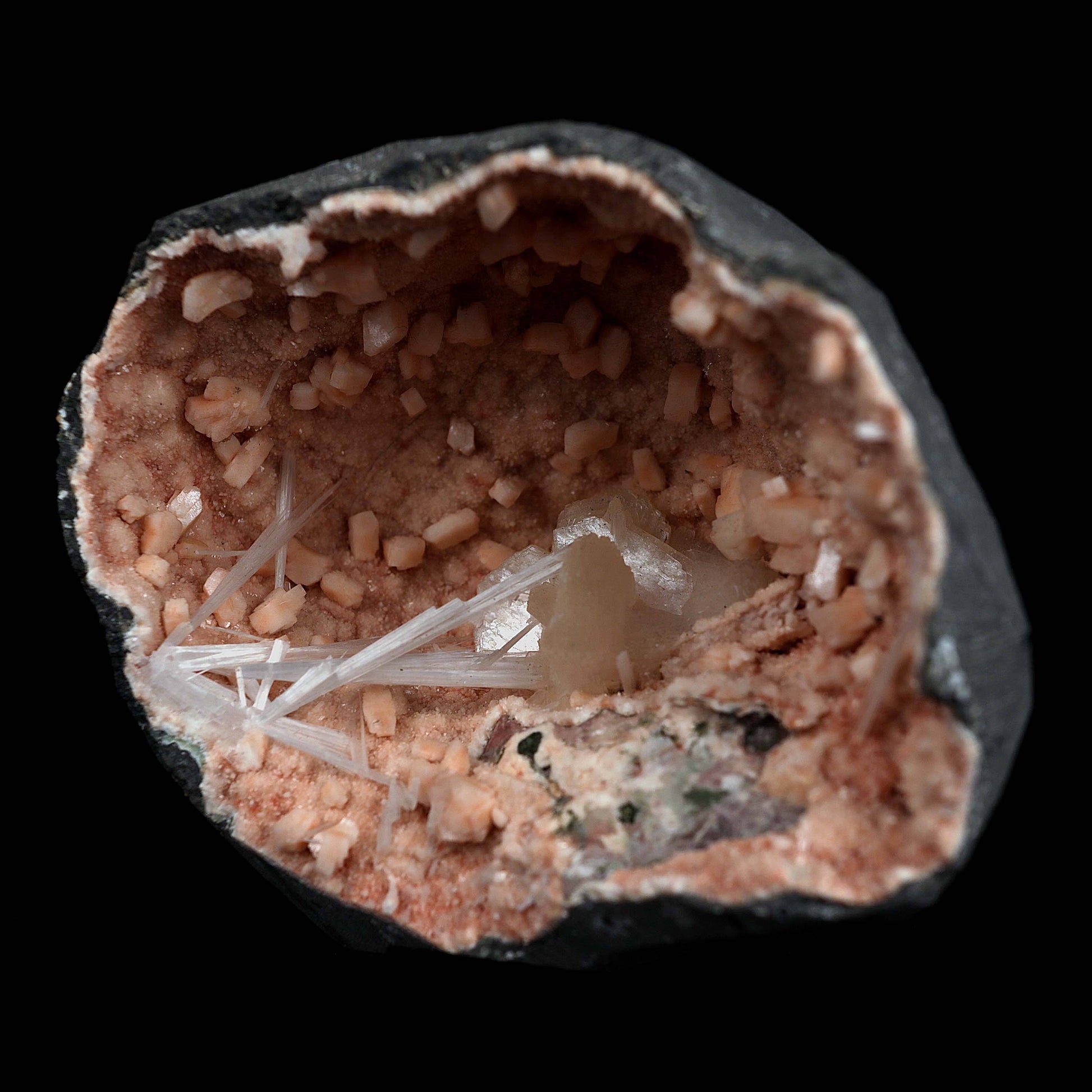 Scolecite Sprays with Inside Heulandite Geode Natural Mineral Specimen…  https://www.superbminerals.us/products/scolecite-sprays-with-inside-heulandite-geode-natural-mineral-specimen-b-4539  Features:Scolecite radial aggregate in a thin crystal-lined vug. The artwork was a bit tough to shoot, but in person, it is much more impressive. They will go down in history as the greatest minerals ever unearthed, because many of them are the FINEST crystallised specimens of their own species anywhere on the globe. 