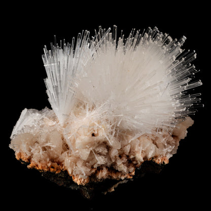 Scolecite Sprays with Stilbite Natural Mineral Specimen # B 6052 Scolecite Superb Minerals 