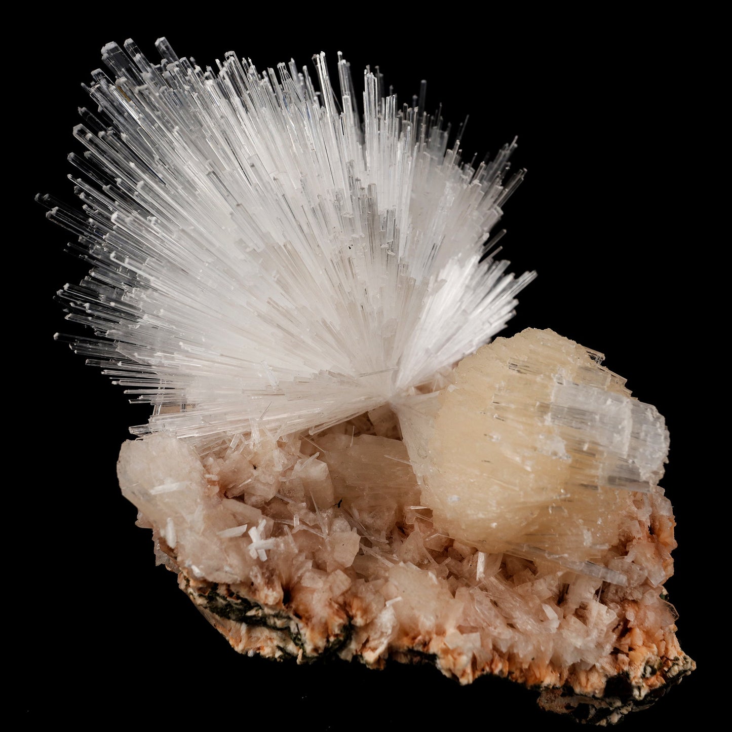 Scolecite Sprays with Stilbite Natural Mineral Specimen # B 6052 Scolecite Superb Minerals 
