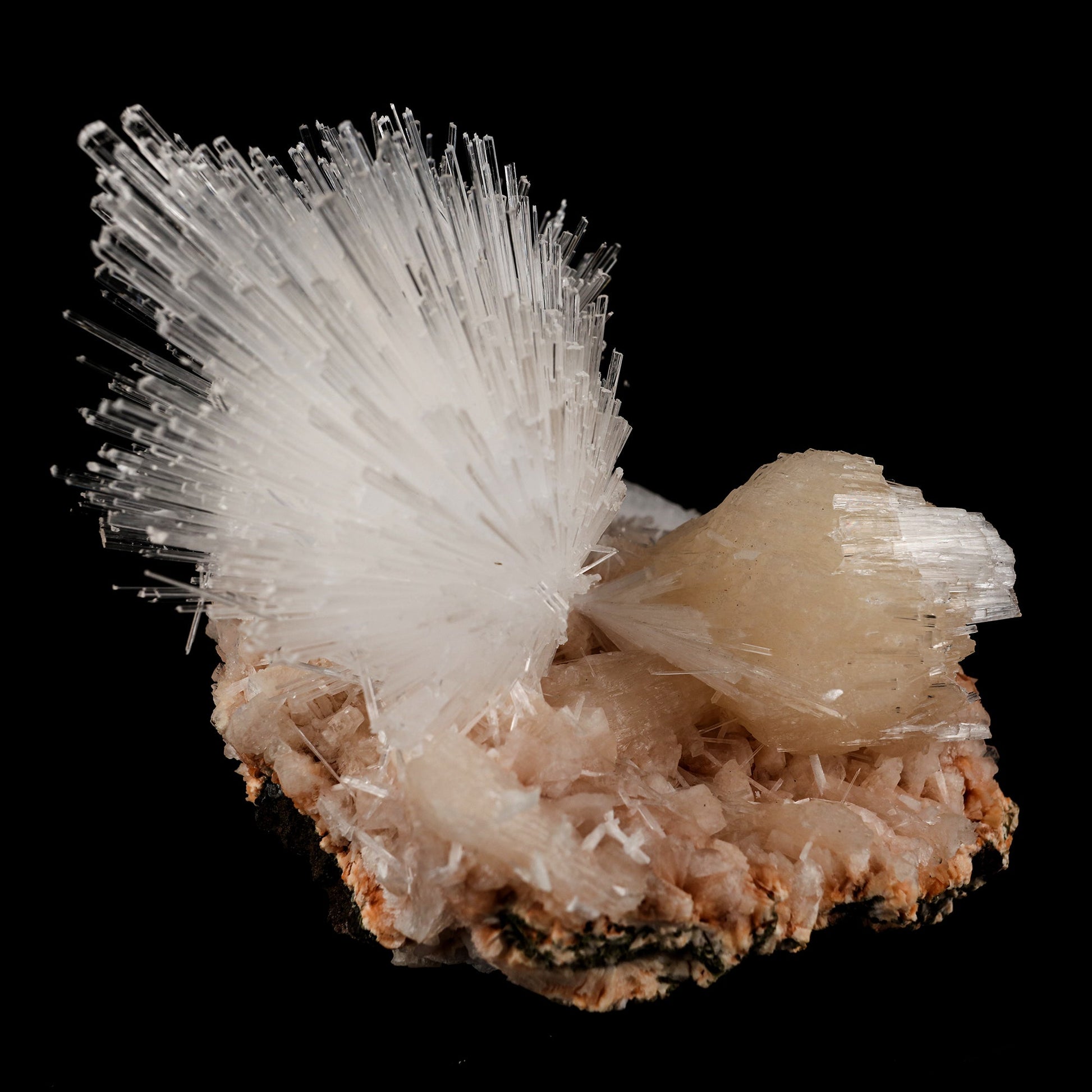 Scolecite Sprays with Stilbite Natural Mineral Specimen # B 6052 Scolecite Superb Minerals 