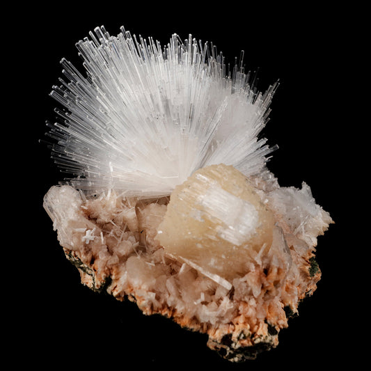 Scolecite Sprays with Stilbite Natural Mineral Specimen # B 6052 Scolecite Superb Minerals 