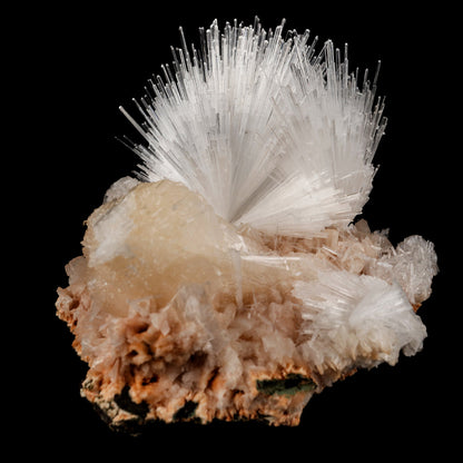 Scolecite Sprays with Stilbite Natural Mineral Specimen # B 6052 Scolecite Superb Minerals 
