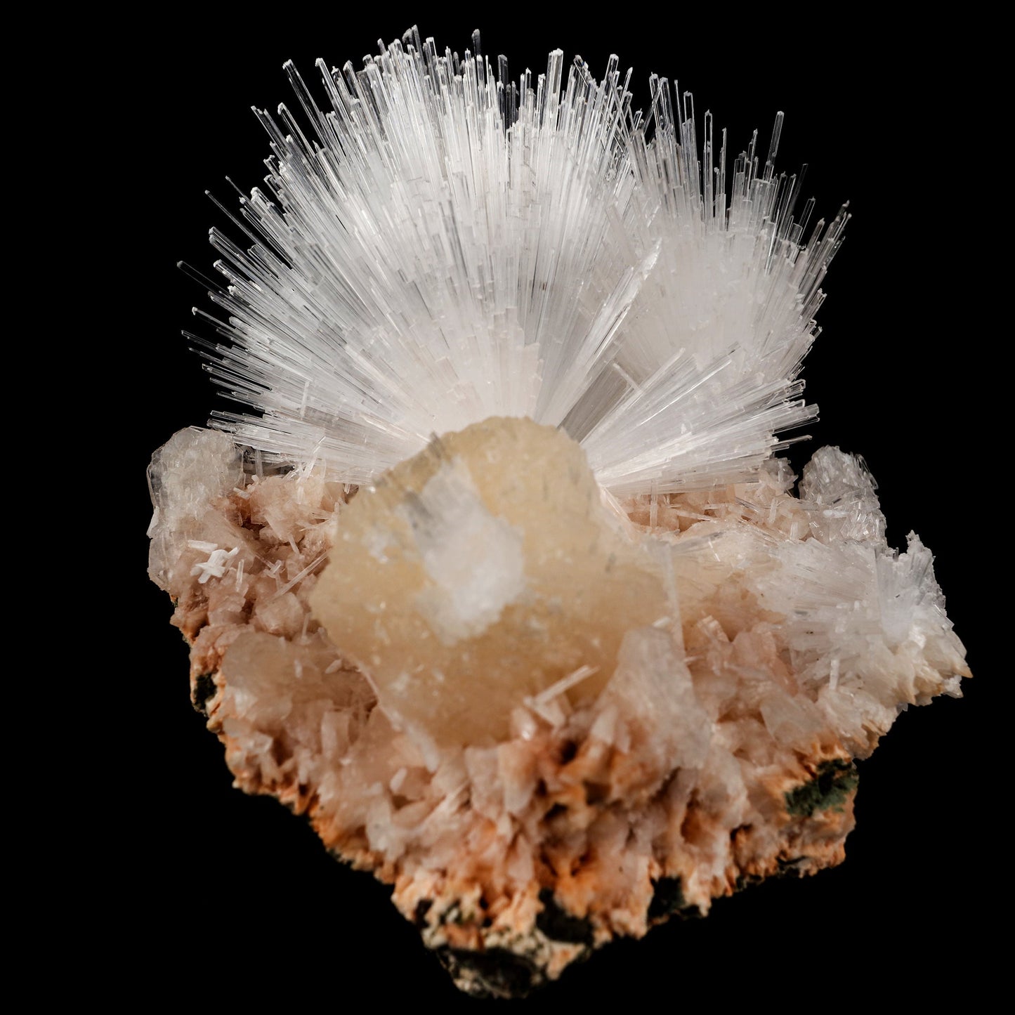 Scolecite Sprays with Stilbite Natural Mineral Specimen # B 6052 Scolecite Superb Minerals 