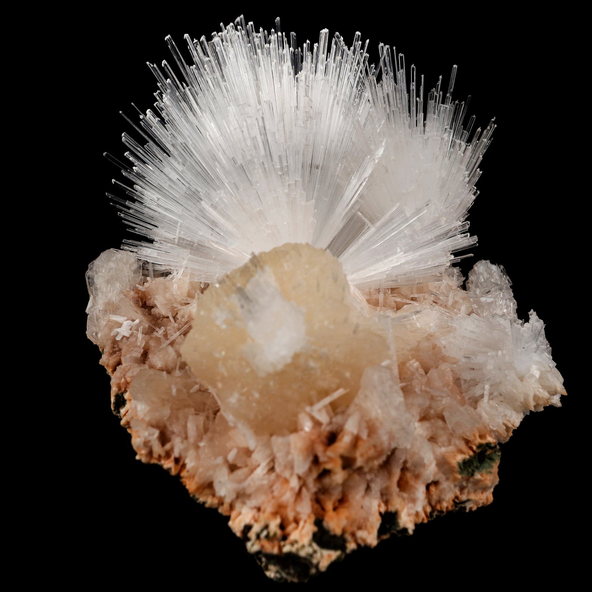 Scolecite Sprays with Stilbite Natural Mineral Specimen # B 6052 Scolecite Superb Minerals 