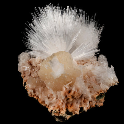 Scolecite Sprays with Stilbite Natural Mineral Specimen # B 6052 Scolecite Superb Minerals 