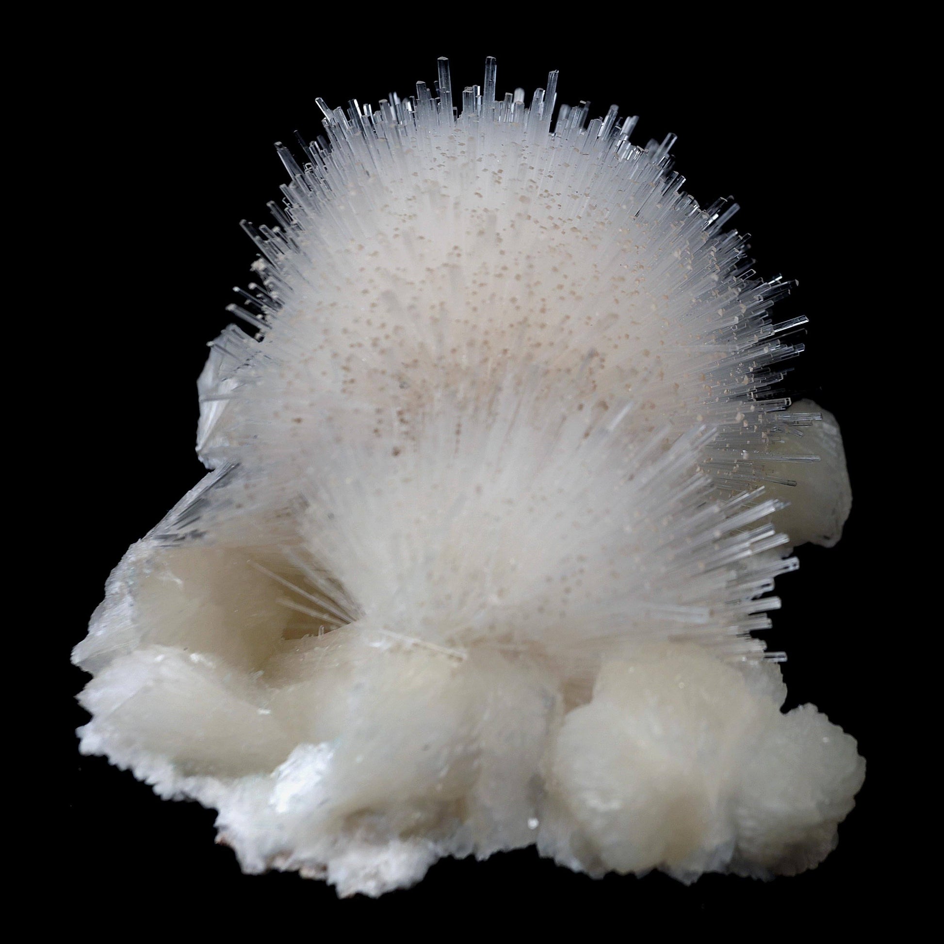 Scoleicte On Stilbite # B 4358  https://www.superbminerals.us/products/scoleicte-on-stilbite-b-4358  Features:A stunning specimen featuring a large, hemispherical formation of colorless, transparent, lustrous acicular Scolecite crystals on peach-colored Stilbite. An amazing piece with superb crystal formation, contrast, luster and contrast. In excellent condition. A great addition to any collection.