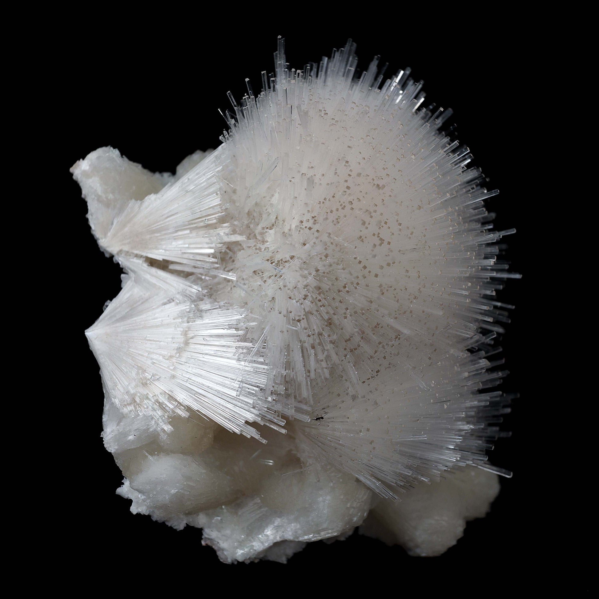 Scoleicte On Stilbite # B 4358  https://www.superbminerals.us/products/scoleicte-on-stilbite-b-4358  Features:A stunning specimen featuring a large, hemispherical formation of colorless, transparent, lustrous acicular Scolecite crystals on peach-colored Stilbite. An amazing piece with superb crystal formation, contrast, luster and contrast. In excellent condition. A great addition to any collection.