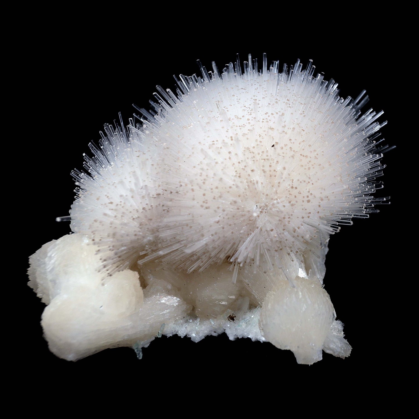 Scoleicte On Stilbite # B 4358  https://www.superbminerals.us/products/scoleicte-on-stilbite-b-4358  Features:A stunning specimen featuring a large, hemispherical formation of colorless, transparent, lustrous acicular Scolecite crystals on peach-colored Stilbite. An amazing piece with superb crystal formation, contrast, luster and contrast. In excellent condition. A great addition to any collection.