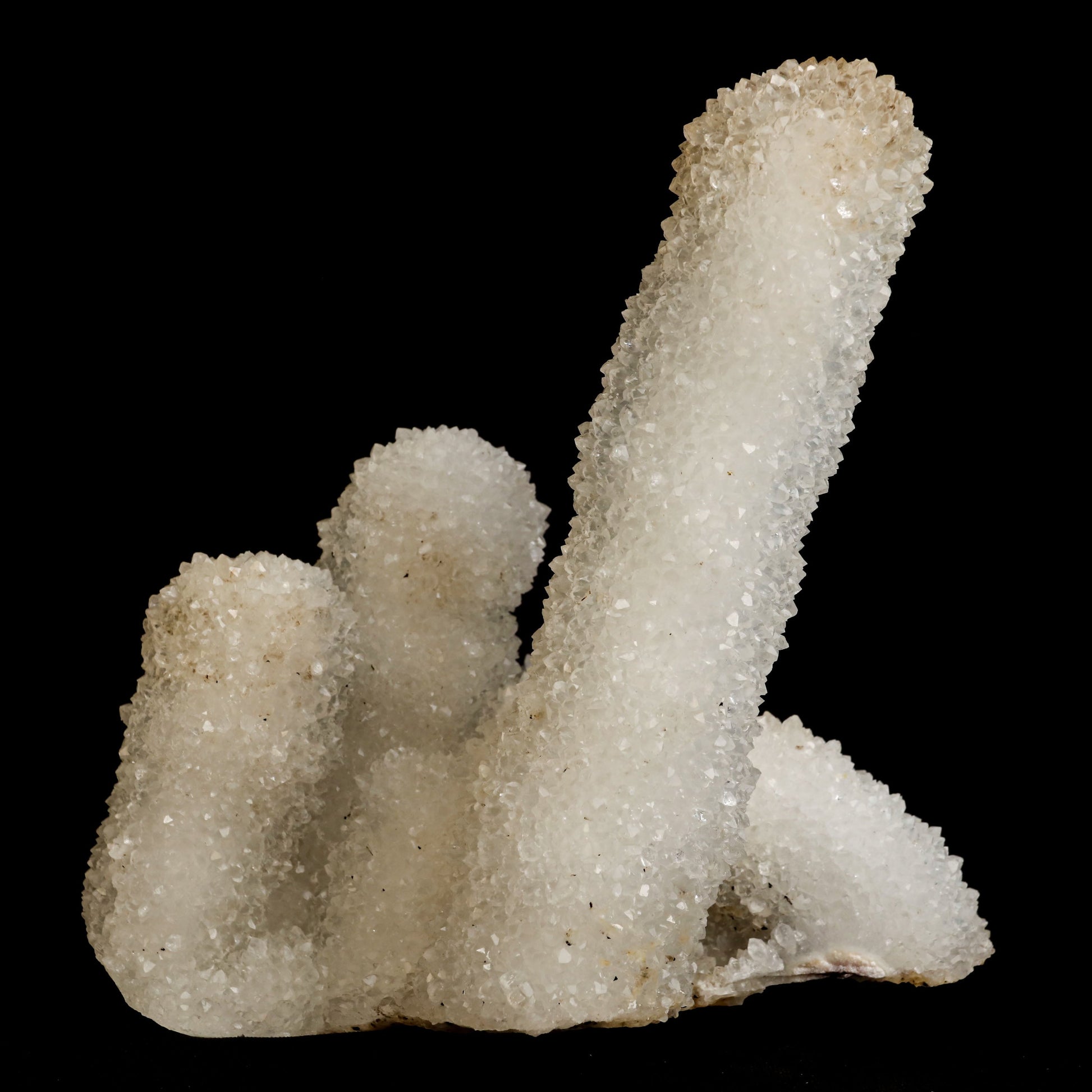 Sparkling MM Quartz Coral Formation Natural Mineral Specimen # B 5006  https://www.superbminerals.us/products/sparkling-mm-quartz-coral-formation-natural-mineral-specimen-b-5006  Features:&nbsp;The specimen is filled with drusy milky Quartz which has created pseudomorphs after scalenohedral Calcite crystals.The item is crystallised nearly all the way around with no matrix, and only a few small places of connection, thus it's close to becoming a complete "floater".Specimens from this area