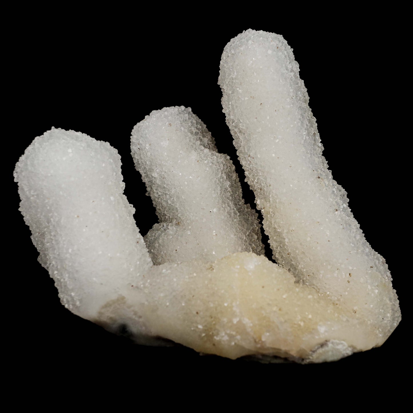 Sprakling MM Quartz Coral Formation Natural Mineral Specimen # B 4990  https://www.superbminerals.us/products/sprakling-mm-quartz-coral-formation-natural-mineral-specimen-b-4990  Features:&nbsp;The specimen is made up of drusy milky Quartz that has pseudomorphed following scalenohedral Calcite crystals.The item is crystallised nearly all the way around, with no matrix and only a few small points of attachment, and is thus on the verge of becoming a complete "floater."