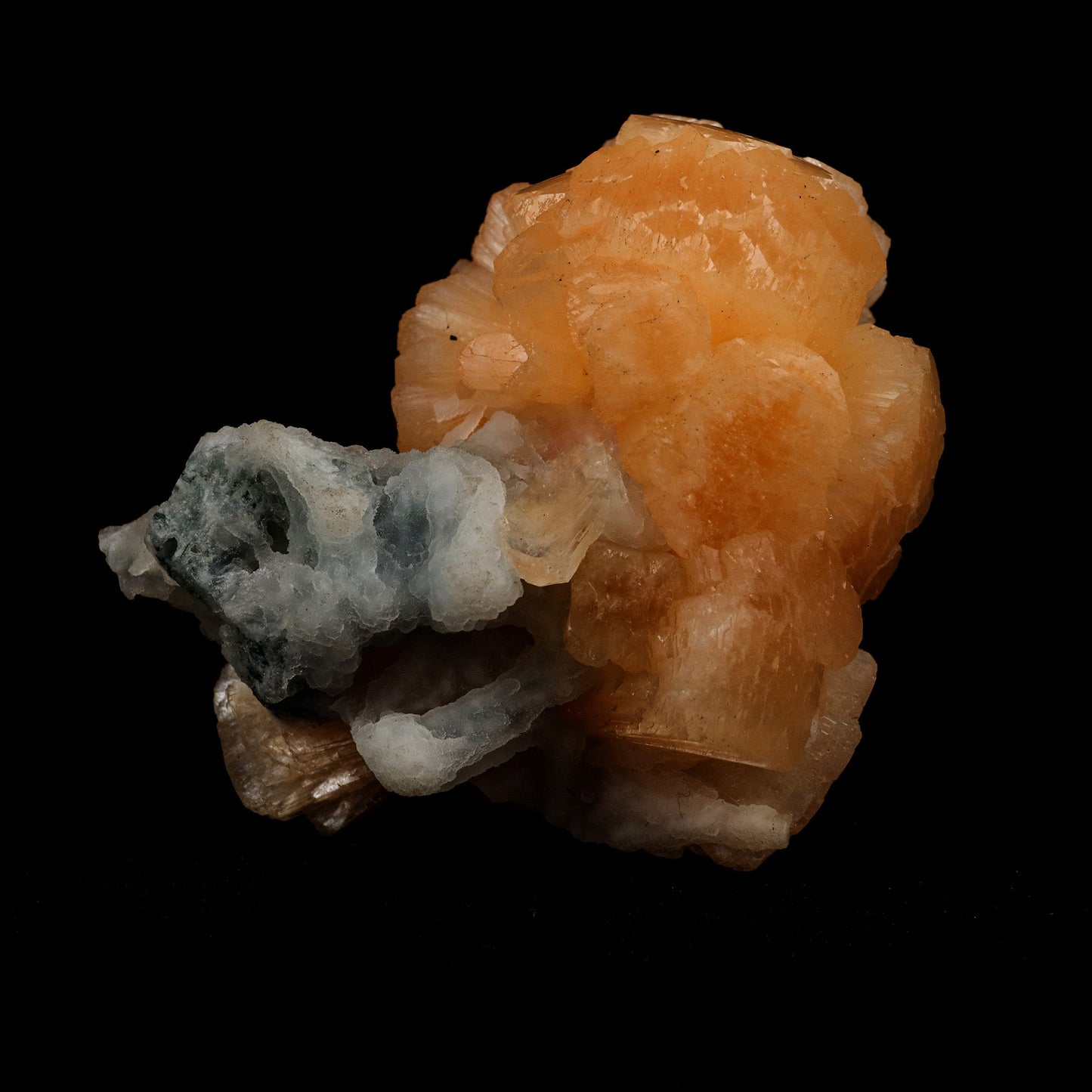 Stellerilite on Chalcedony Rare Find Natural Mineral Specimen # B 511…  https://www.superbminerals.us/products/stellerilite-on-chalcedony-rare-find-natural-mineral-specimen-b-5119  Features: A large,partial radial "ball" of soft orange colored Stellerite is composed of hundreds of thin, tightly intergrown orthorhombic blades sits beautifully on the contrasting black basalt matrix. The piece itself is in excellent condition with no major damage to be seen, only a few TINY imperfections