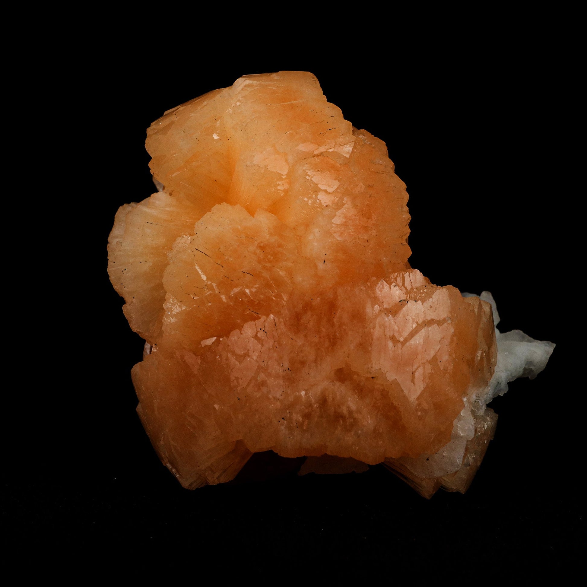 Stellerilite on Chalcedony Rare Find Natural Mineral Specimen # B 511…  https://www.superbminerals.us/products/stellerilite-on-chalcedony-rare-find-natural-mineral-specimen-b-5119  Features: A large,partial radial "ball" of soft orange colored Stellerite is composed of hundreds of thin, tightly intergrown orthorhombic blades sits beautifully on the contrasting black basalt matrix. The piece itself is in excellent condition with no major damage to be seen, only a few TINY imperfections