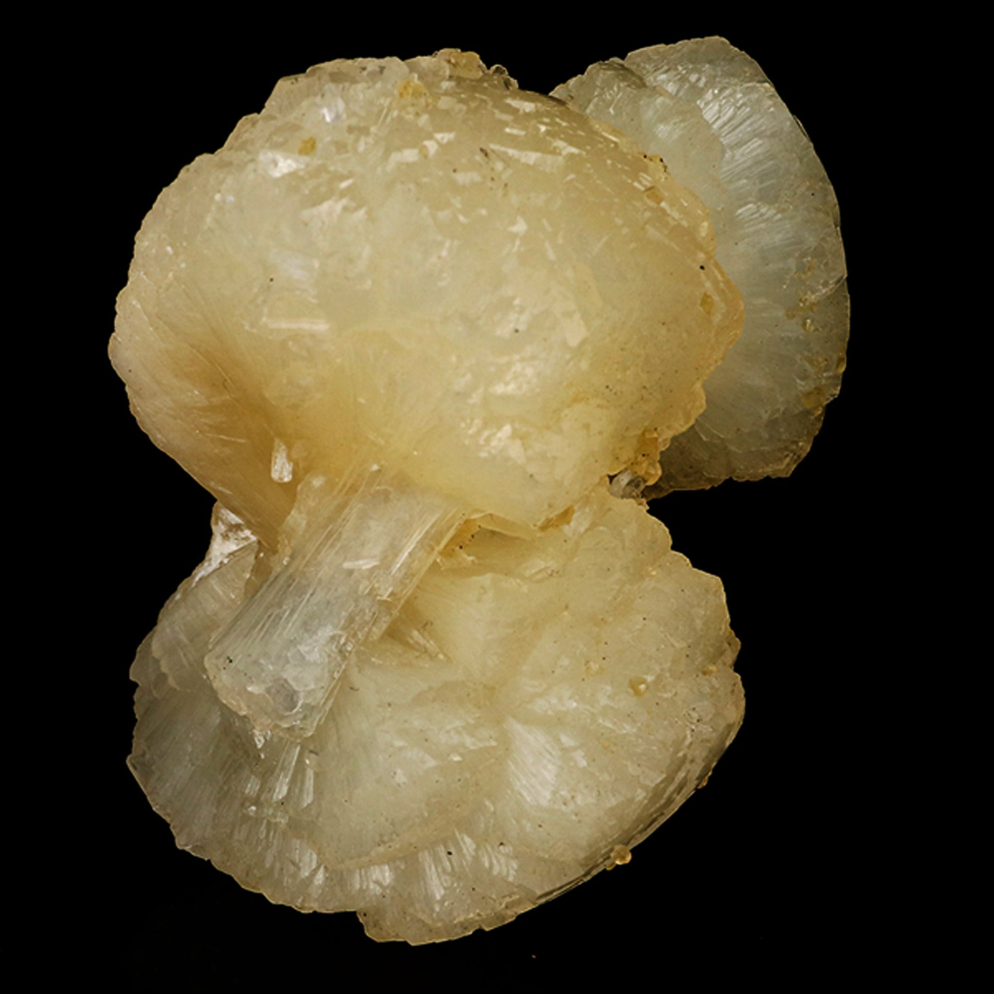Stellerite Bow Natural Mineral Specimen # B 5897 Stellerite Superb Minerals 