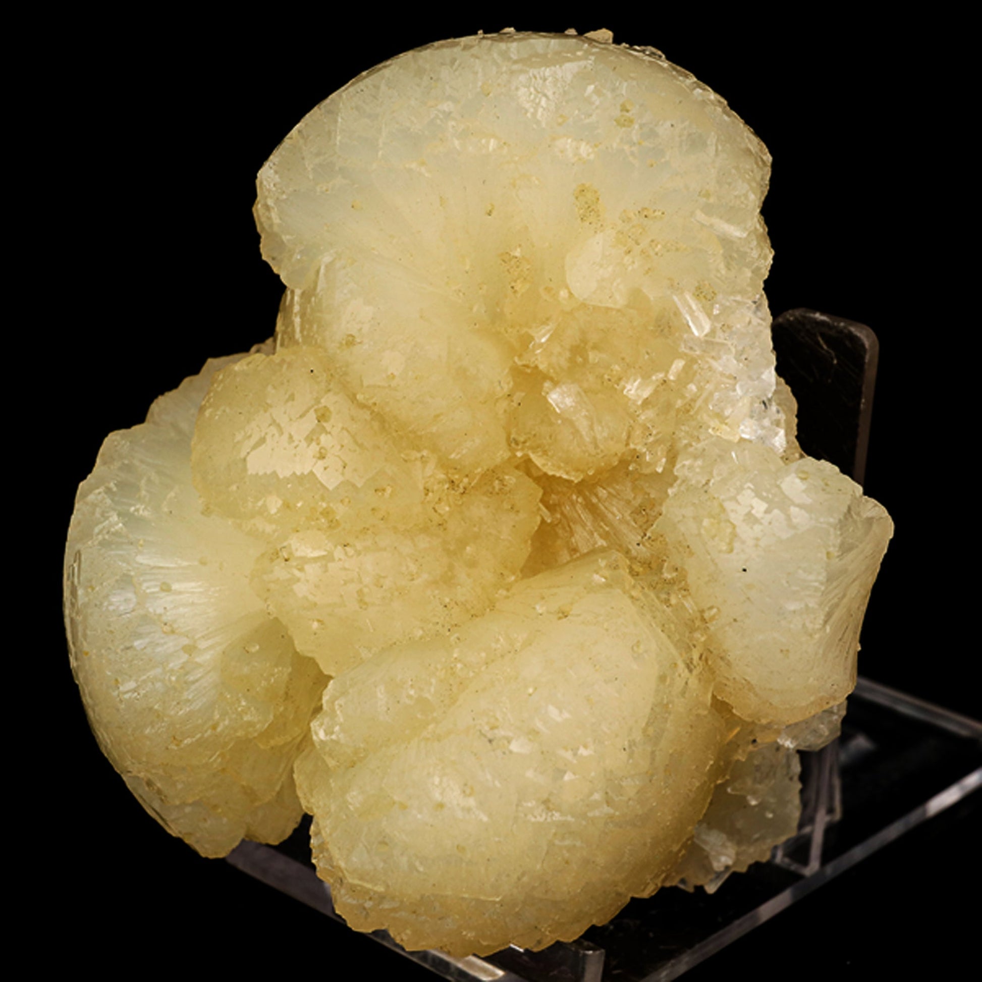 Stellerite Bow Natural Mineral Specimen # B 5905 Stellarite Superb Minerals 