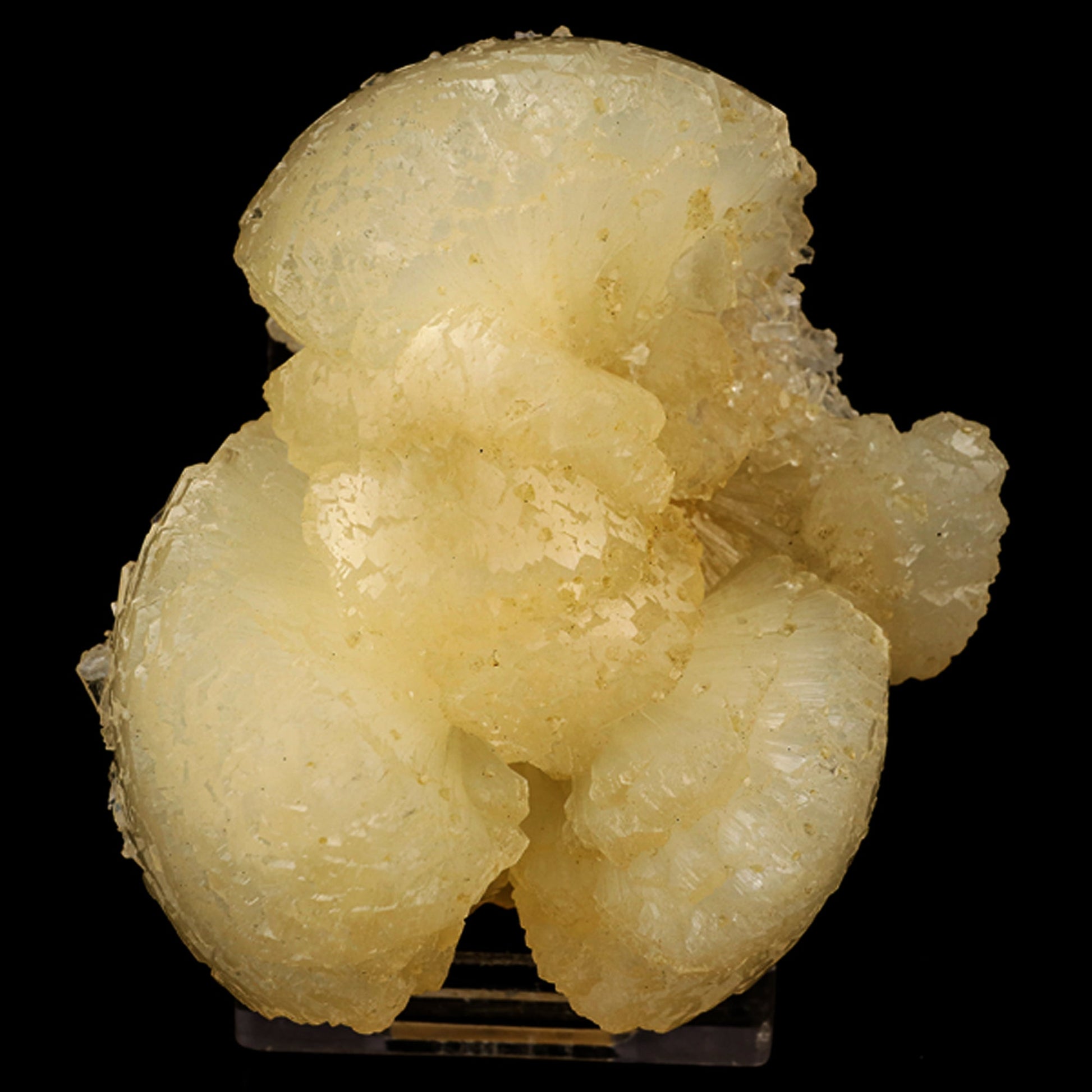 Stellerite Bow Natural Mineral Specimen # B 5905 Stellarite Superb Minerals 