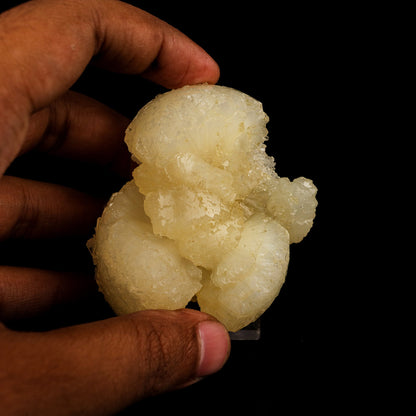 Stellerite Bow Natural Mineral Specimen # B 5905 Stellarite Superb Minerals 