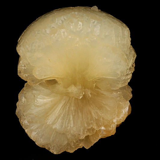 Stellerite Bow Natural Mineral Specimen # B 5914 Stellarite Superb Minerals 