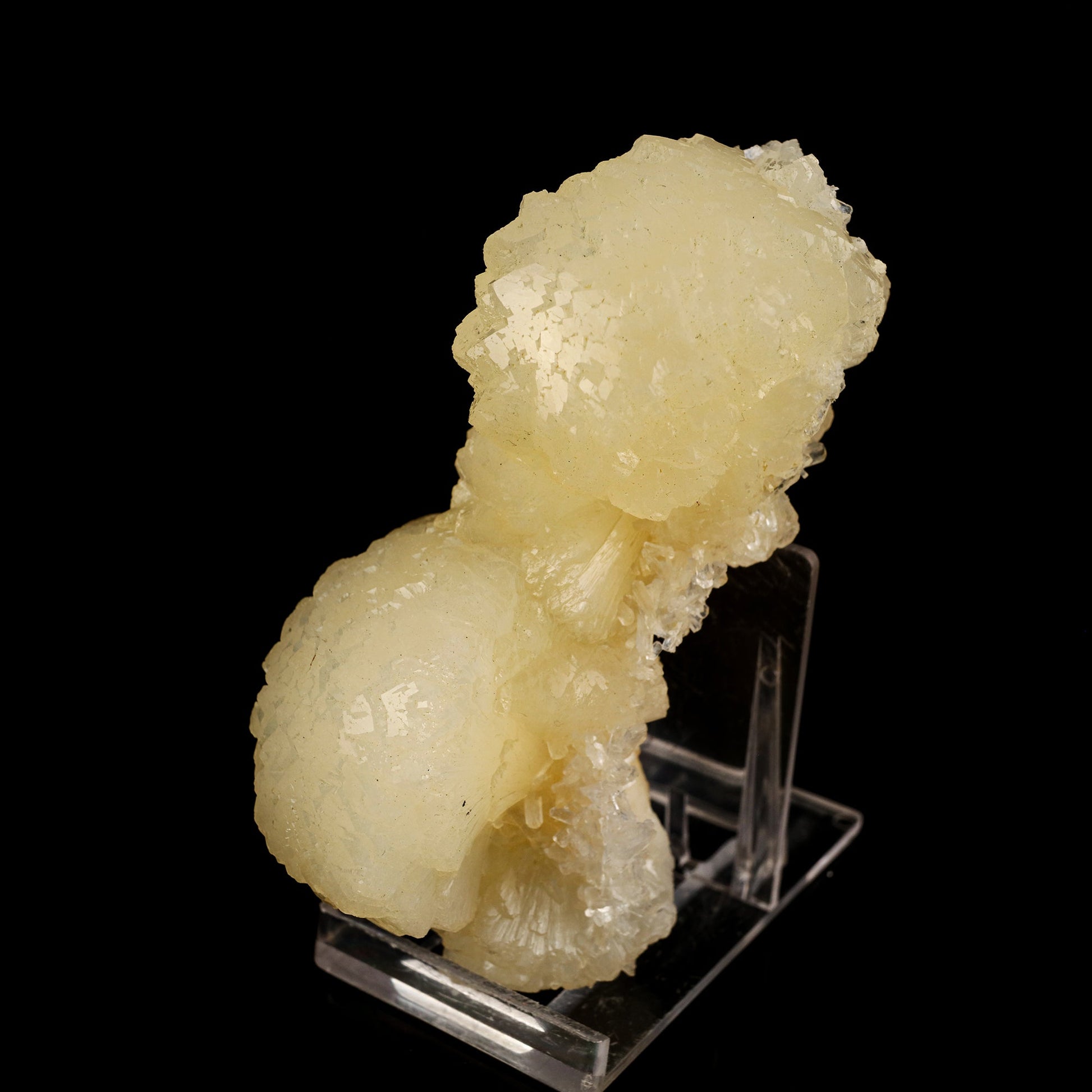 Stellerite Bow Natural Mineral Specimen # B 5922 Stellarite Superb Minerals 