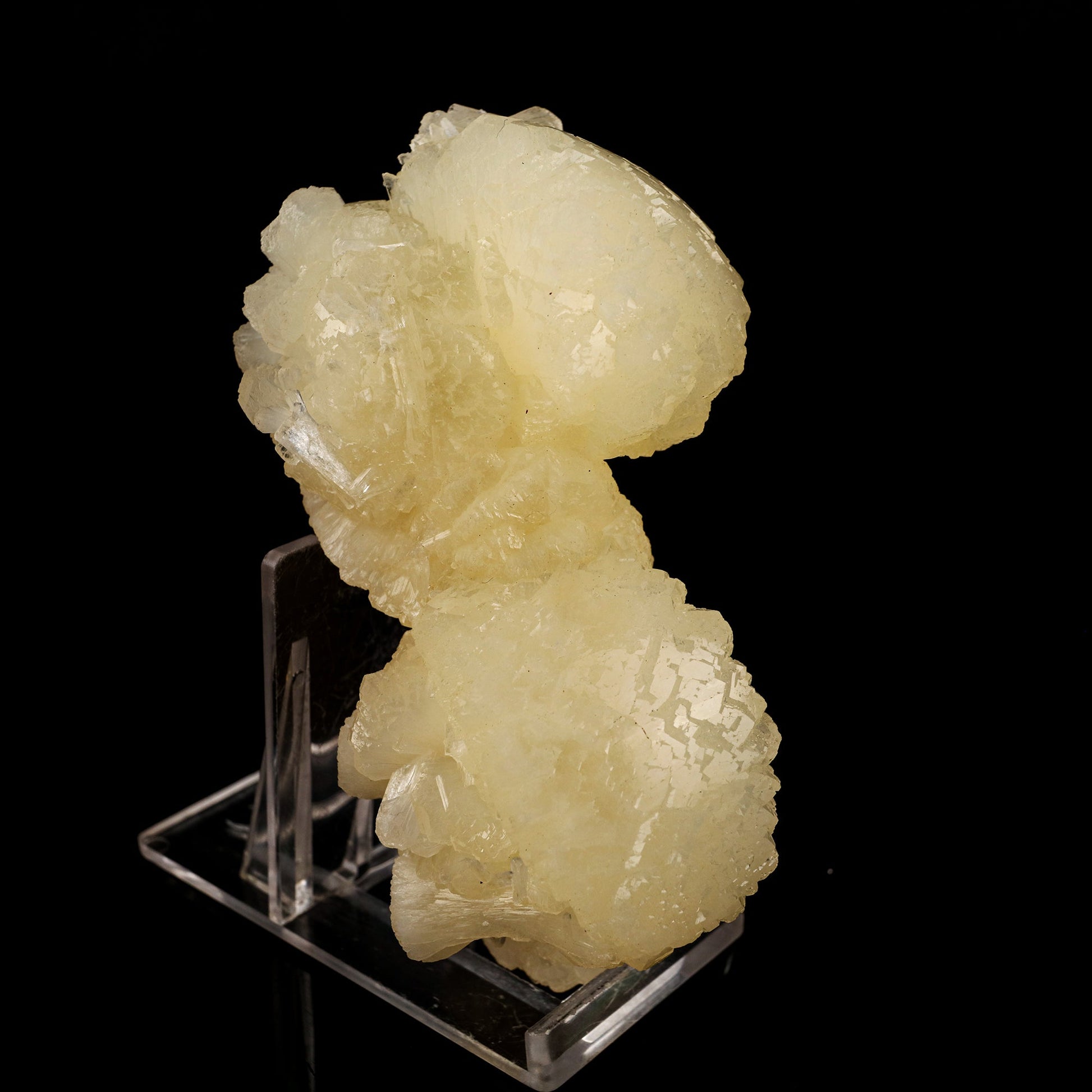 Stellerite Bow Natural Mineral Specimen # B 5922 Stellarite Superb Minerals 