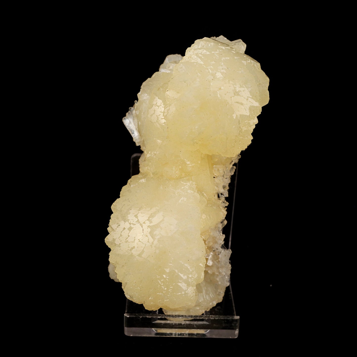 Stellerite Bow Natural Mineral Specimen # B 5922 Stellarite Superb Minerals 