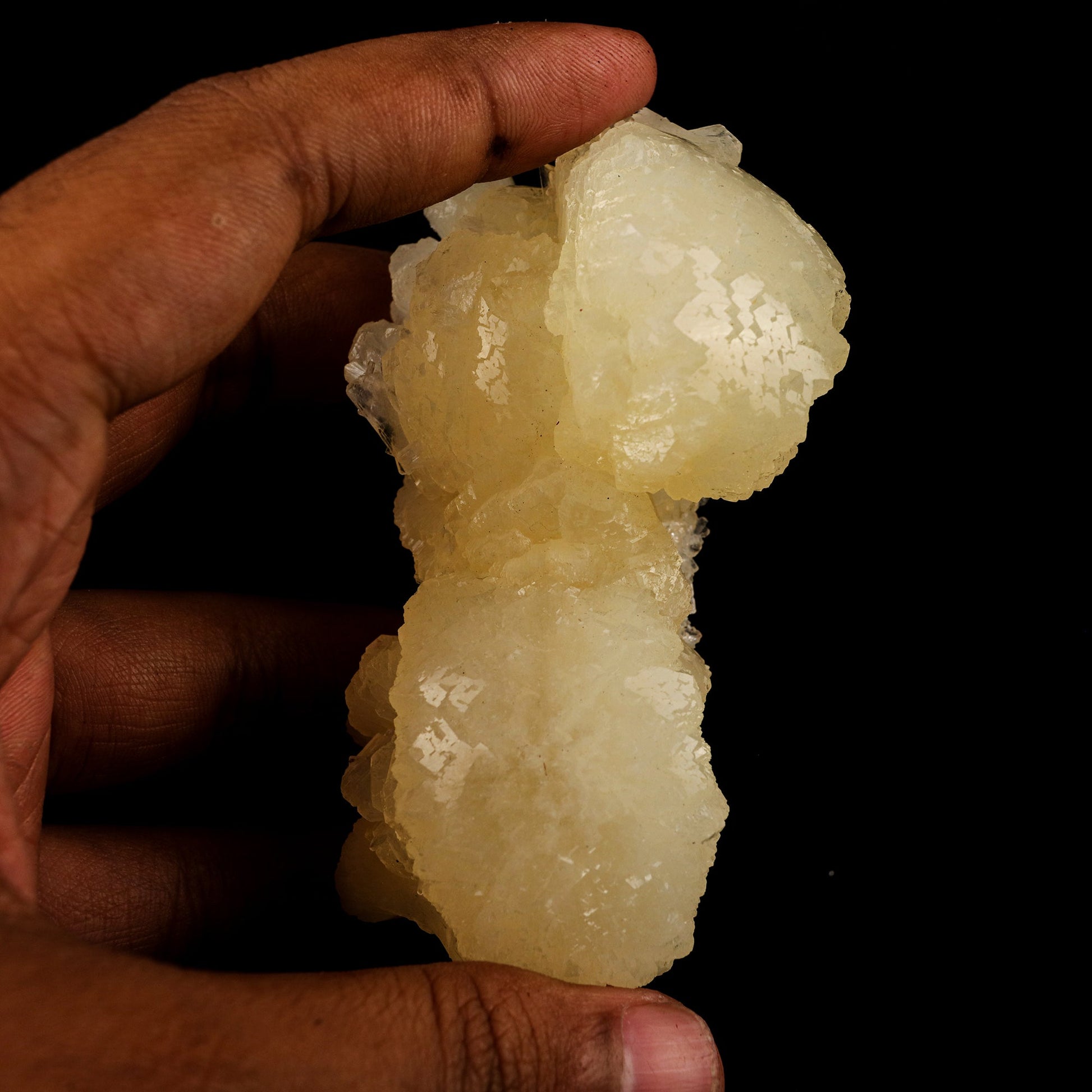 Stellerite Bow Natural Mineral Specimen # B 5922 Stellarite Superb Minerals 
