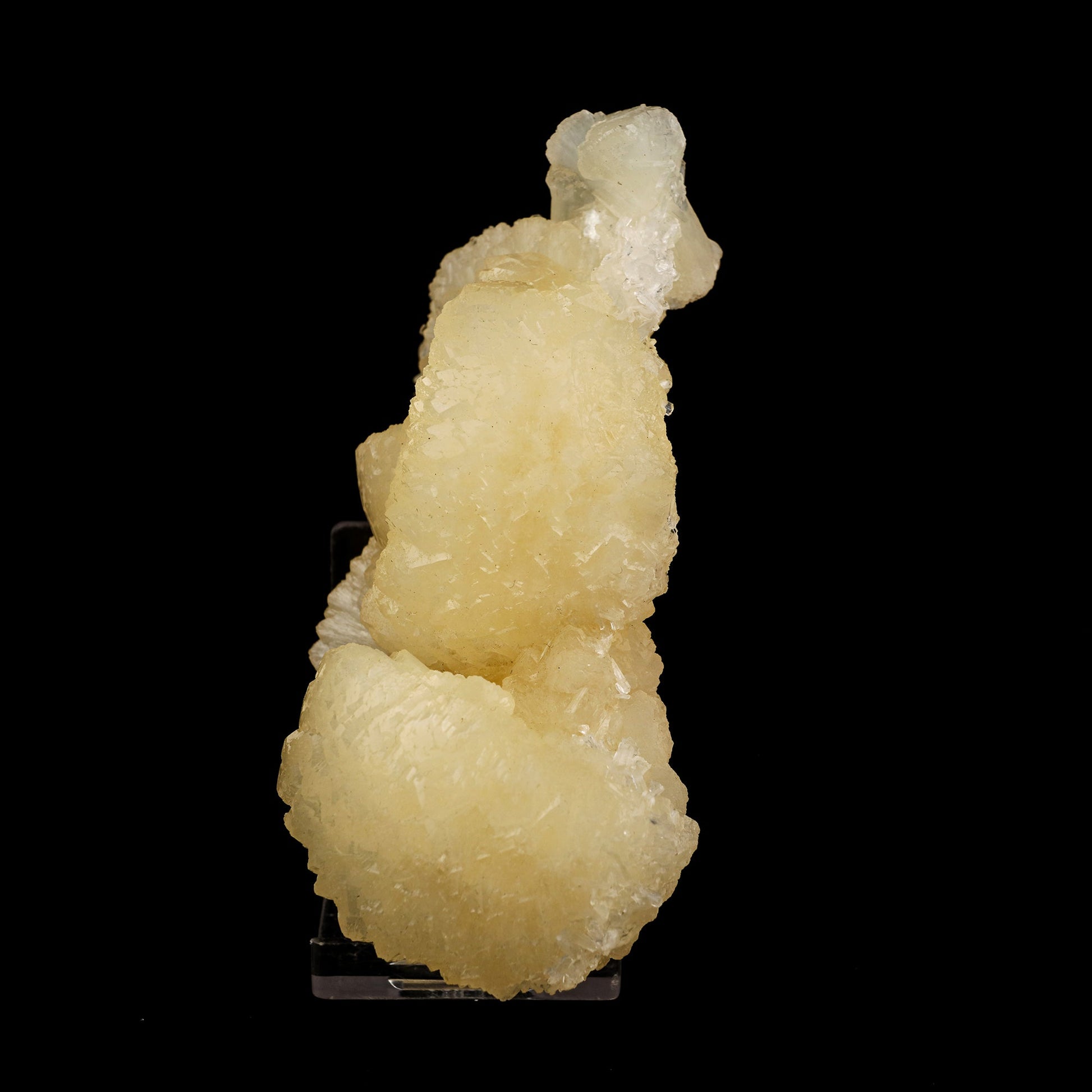 Stellerite Bow Natural Mineral Specimen # B 5933 Stellarite Superb Minerals 