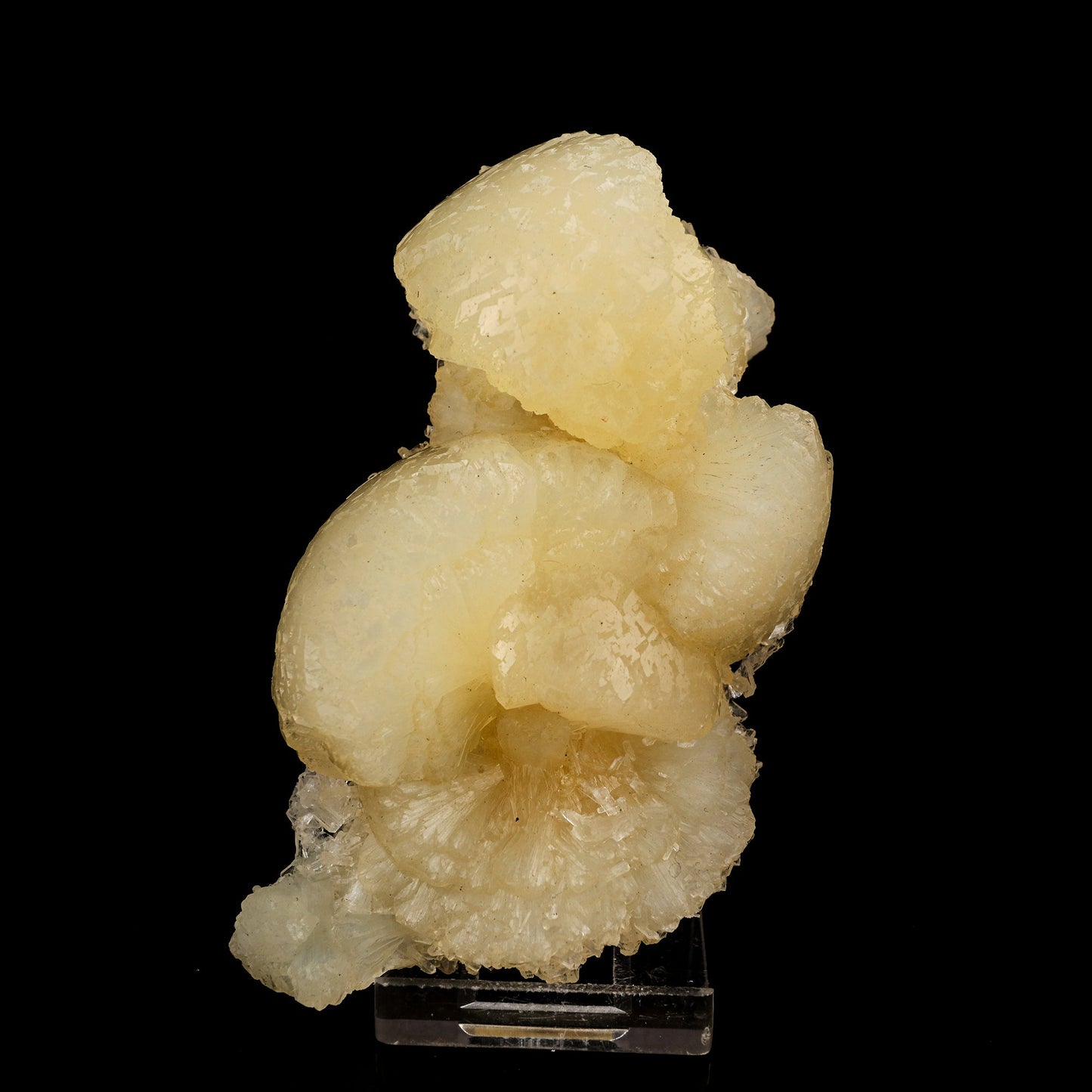Stellerite Bow Natural Mineral Specimen # B 5933 Stellarite Superb Minerals 