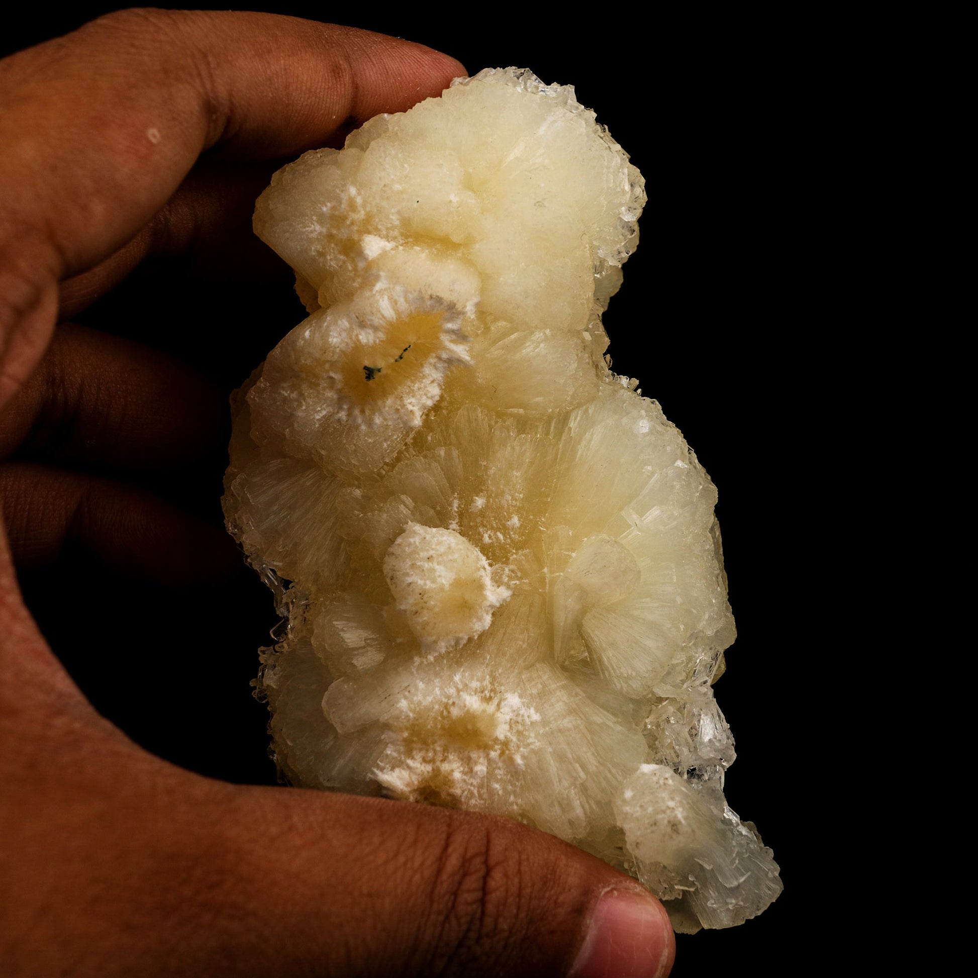 Stellerite Bow Natural Mineral Specimen # B 5933 Stellarite Superb Minerals 