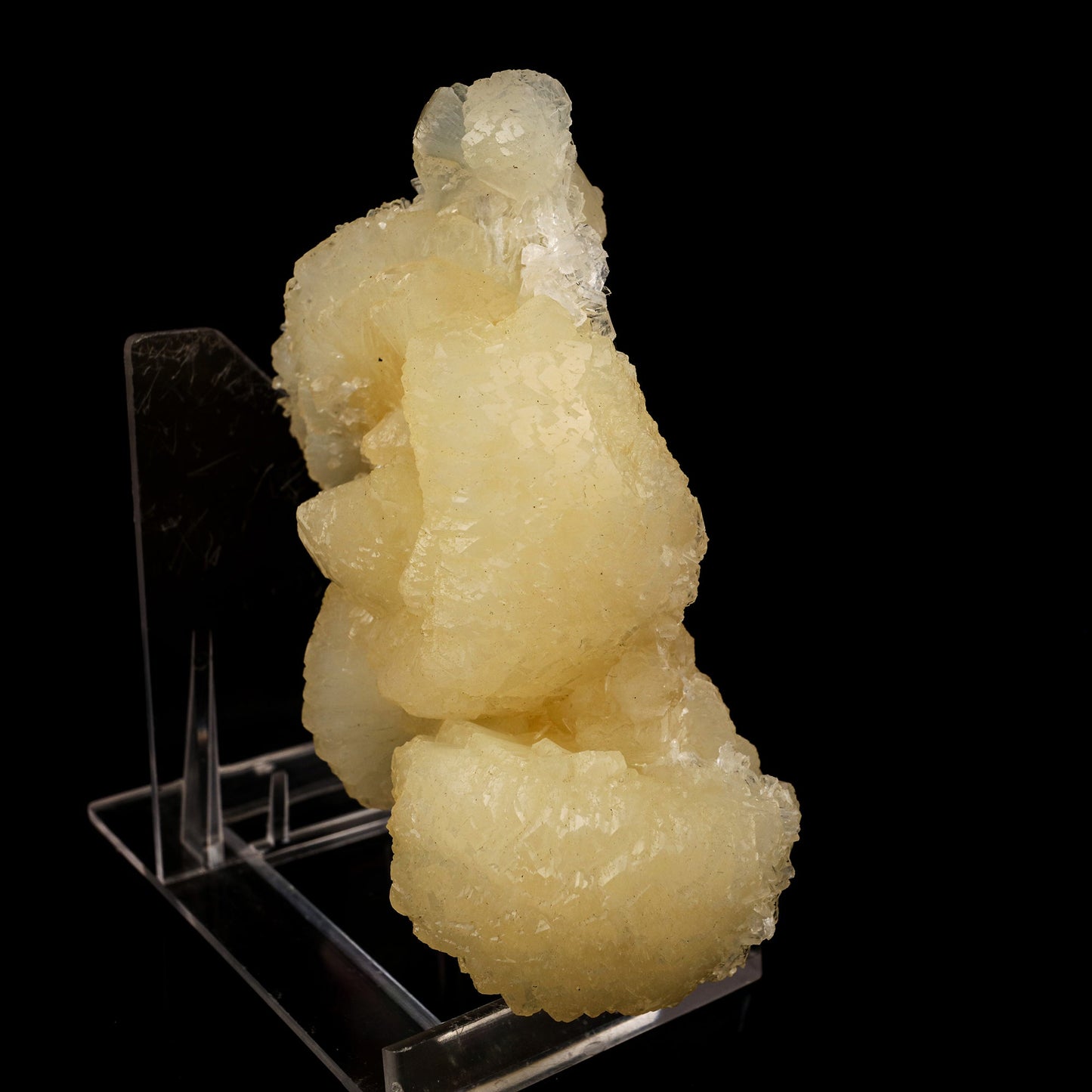 Stellerite Bow Natural Mineral Specimen # B 5933 Stellarite Superb Minerals 