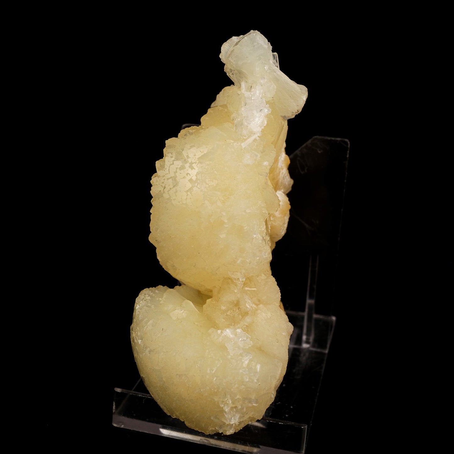 Stellerite Bow Natural Mineral Specimen # B 5933 Stellarite Superb Minerals 