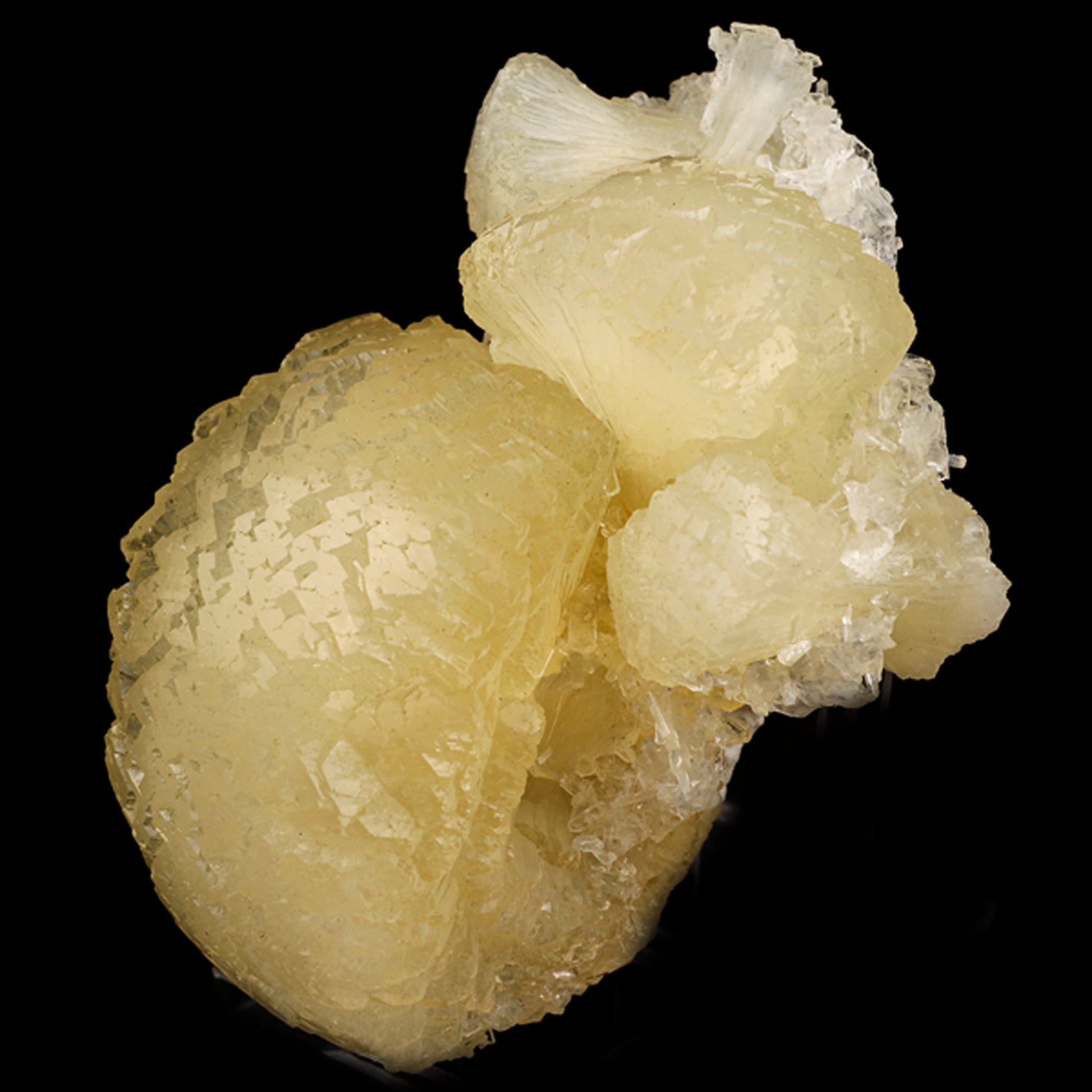Stellerite Bow Natural Mineral Specimen # B 5945 Stellarite Superb Minerals 