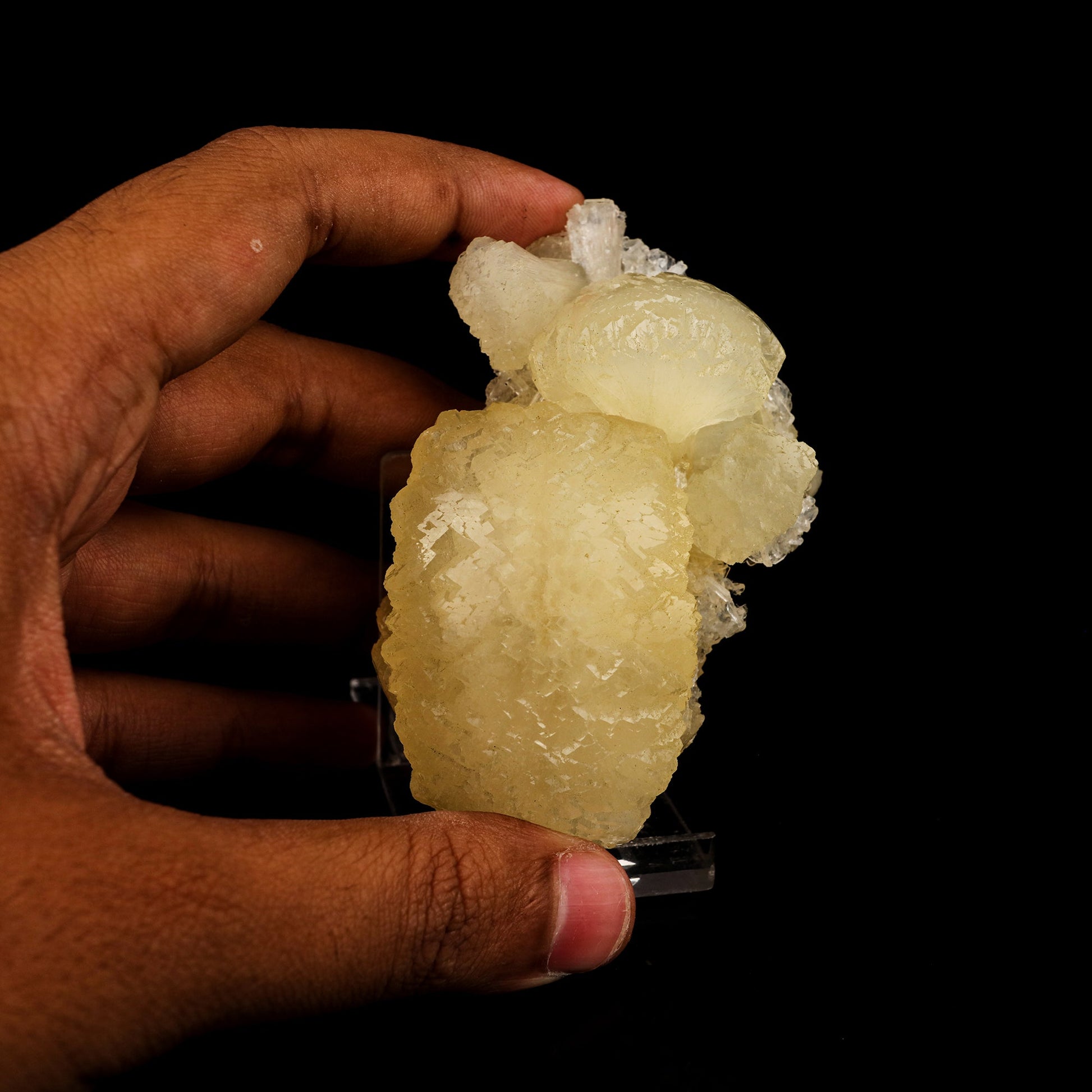 Stellerite Bow Natural Mineral Specimen # B 5945 Stellarite Superb Minerals 
