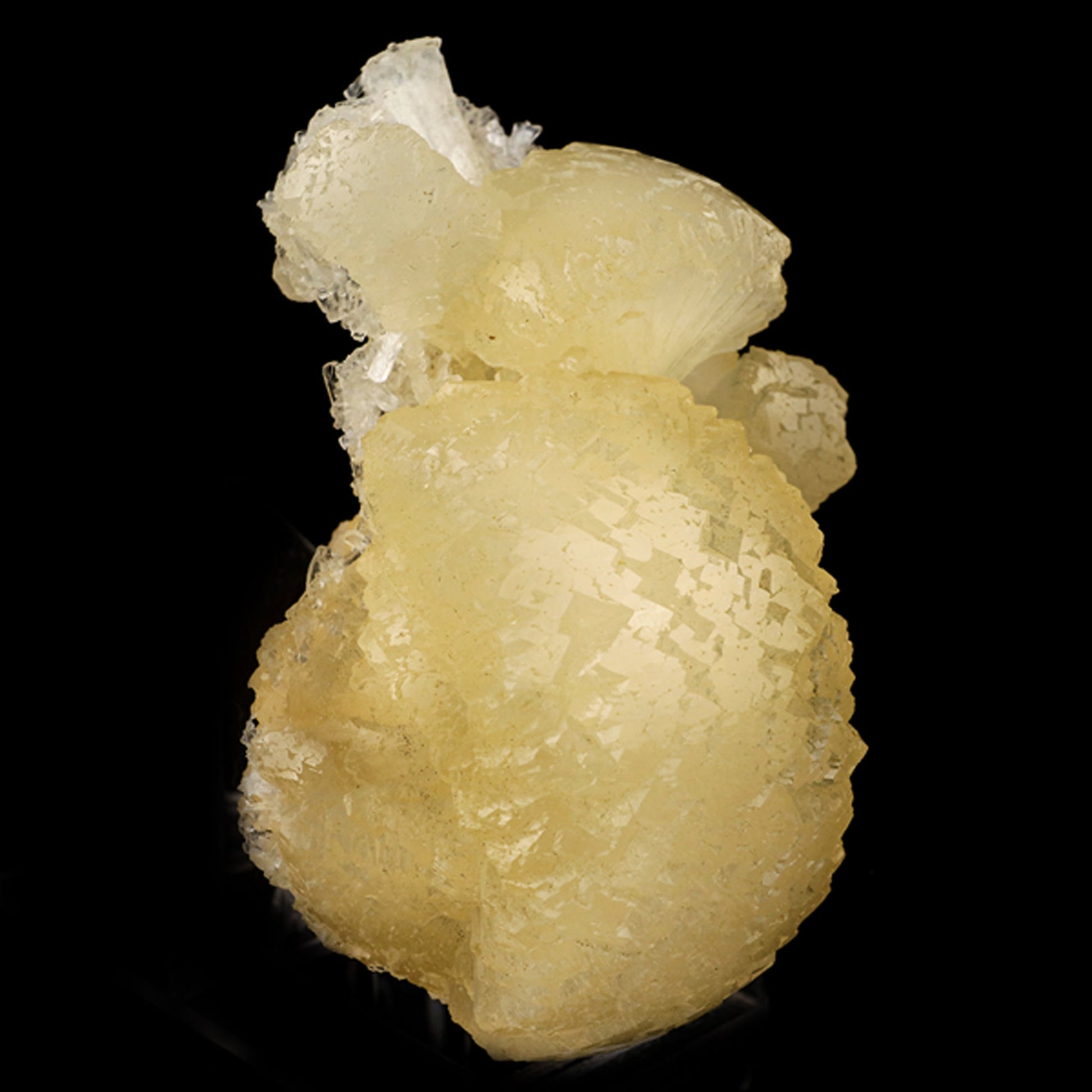 Stellerite Bow Natural Mineral Specimen # B 5945 Stellarite Superb Minerals 