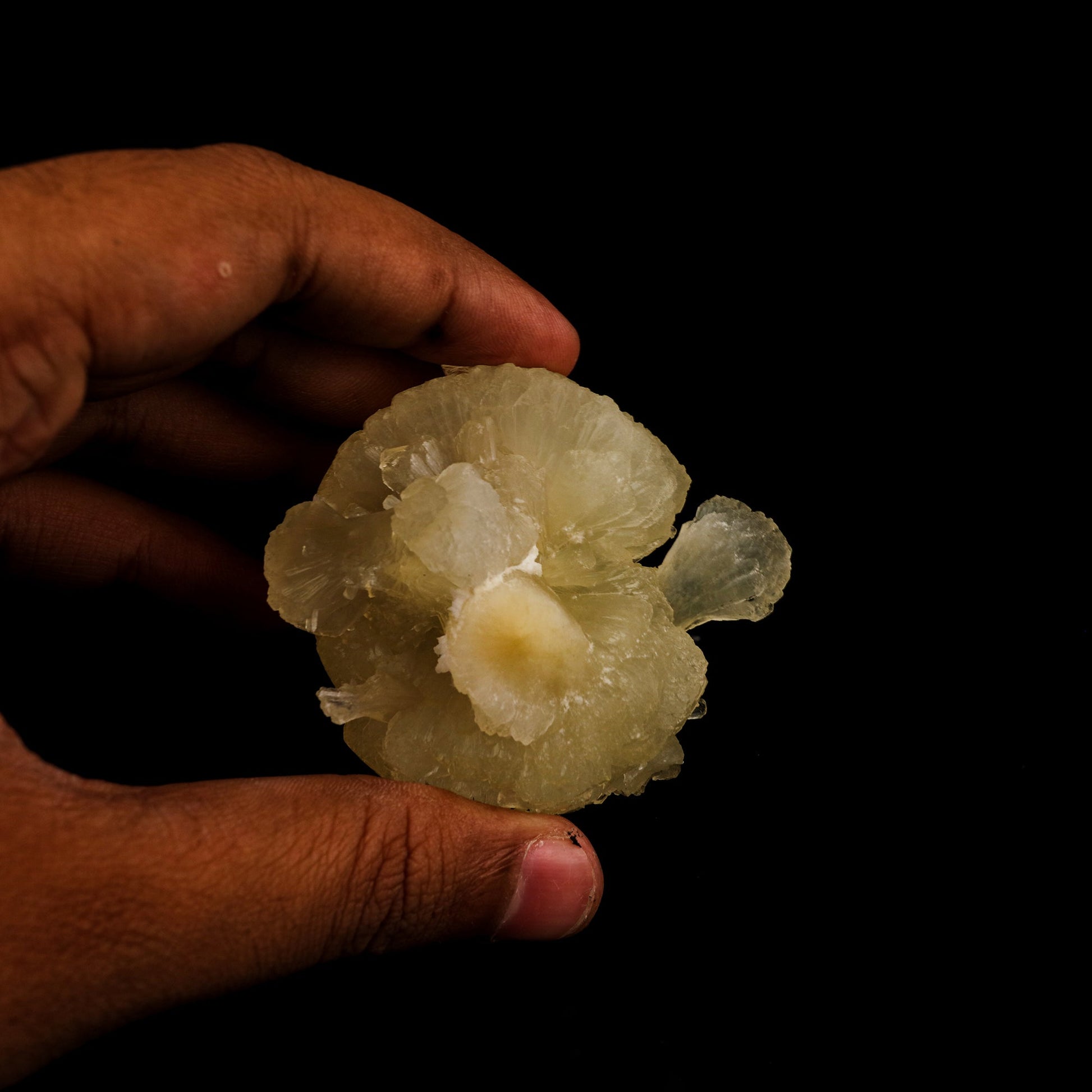 Stellerite Bow Natural Mineral Specimen # B 5955 Stellarite Superb Minerals 