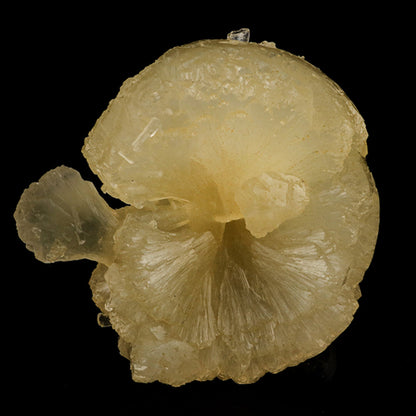 Stellerite Bow Natural Mineral Specimen # B 5955 Stellarite Superb Minerals 