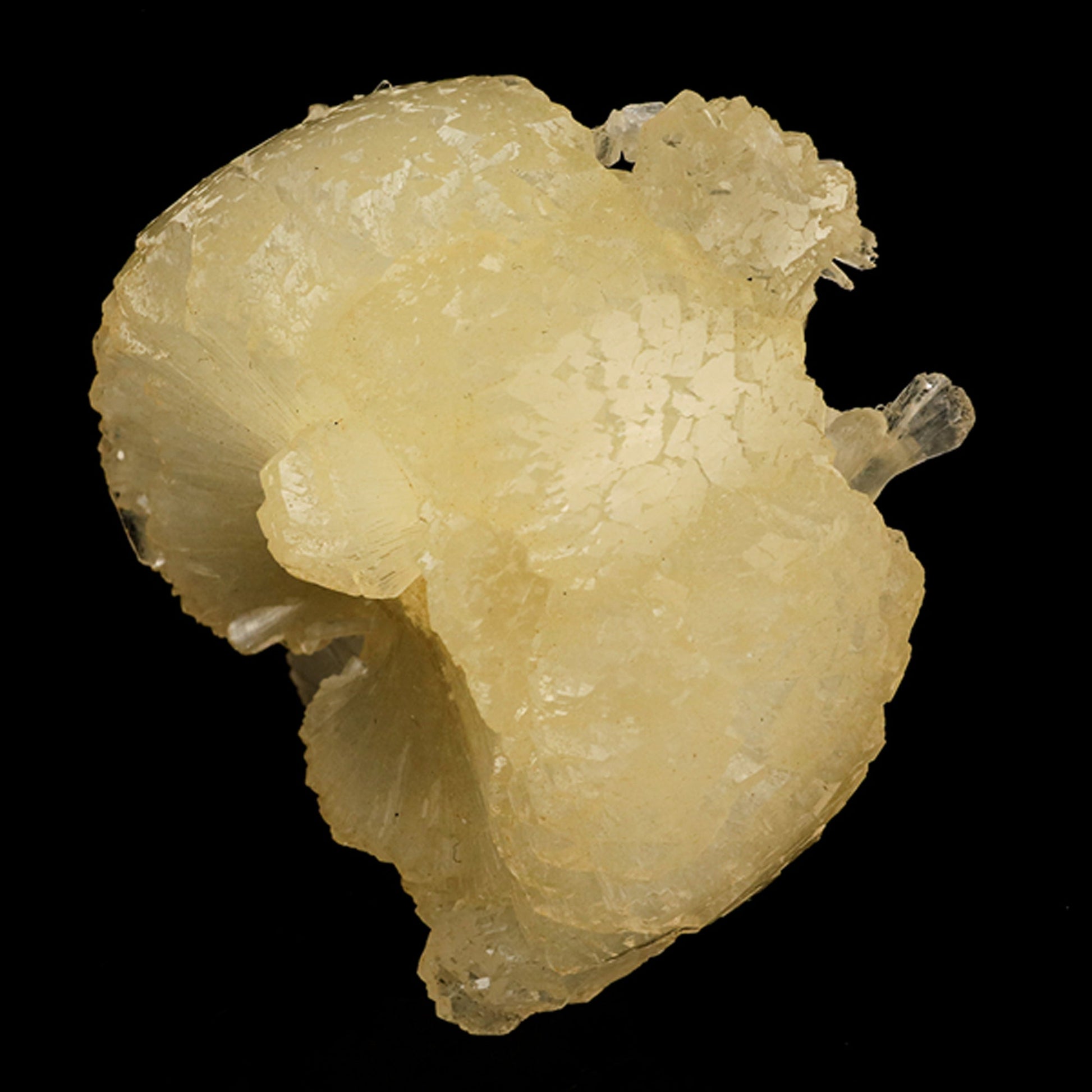 Stellerite Bow Natural Mineral Specimen # B 5955 Stellarite Superb Minerals 