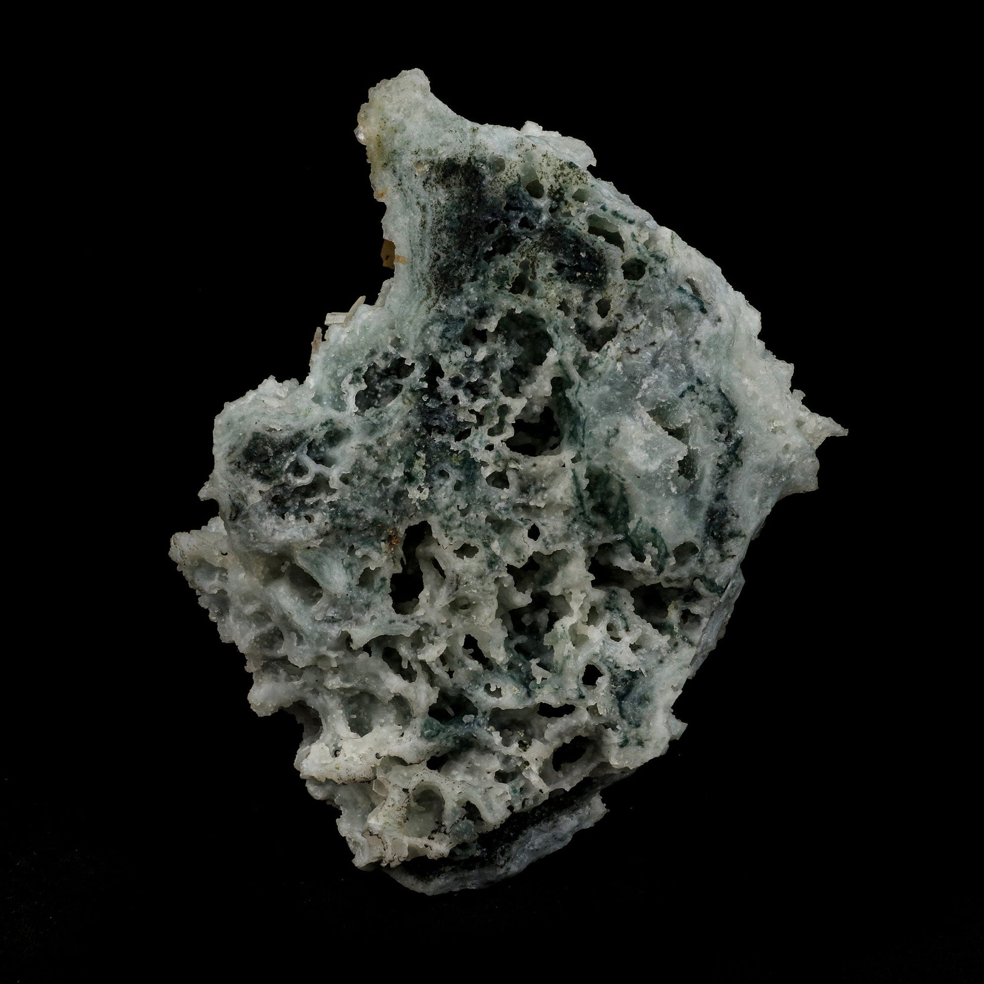 Stellerite Wings on Chalcedony Coral Formation Natural Mineral Specime…  https://www.superbminerals.us/products/stellerite-wings-on-chalcedony-coral-formation-natural-mineral-specimen-b-5132  Features: A relatively new find from Jalgaon, the spherical "flower-like" aggregates have recently Stellerite while the others shaped crystals are Stilbites and Chalcedony. A fascinating grouping of fanned orange Stellerite crystals perched upon a thin, stalagmitic formation of green chalcedony. 