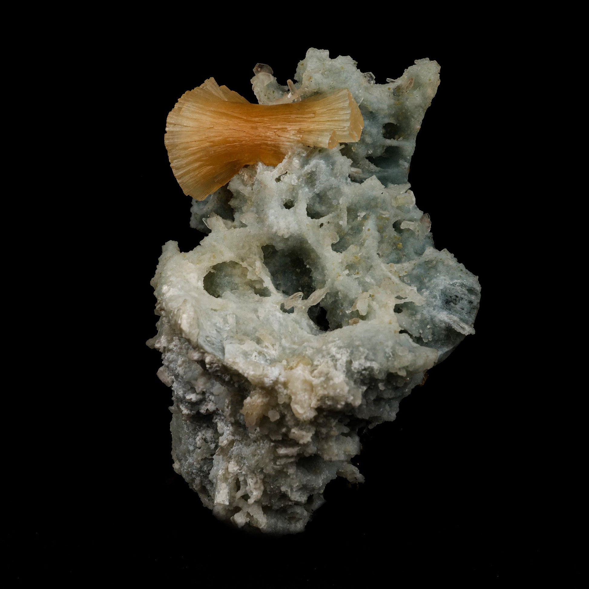 Stellerite Wings on Chalcedony Coral Formation Natural Mineral Specime…  https://www.superbminerals.us/products/stellerite-wings-on-chalcedony-coral-formation-natural-mineral-specimen-b-5132  Features: A relatively new find from Jalgaon, the spherical "flower-like" aggregates have recently Stellerite while the others shaped crystals are Stilbites and Chalcedony. A fascinating grouping of fanned orange Stellerite crystals perched upon a thin, stalagmitic formation of green chalcedony. 