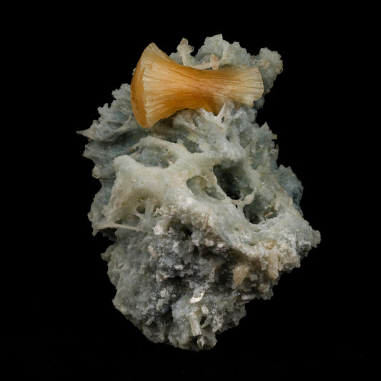 Stellerite Wings on Chalcedony Coral Formation Natural Mineral Specime…  https://www.superbminerals.us/products/stellerite-wings-on-chalcedony-coral-formation-natural-mineral-specimen-b-5132  Features: A relatively new find from Jalgaon, the spherical "flower-like" aggregates have recently Stellerite while the others shaped crystals are Stilbites and Chalcedony. A fascinating grouping of fanned orange Stellerite crystals perched upon a thin, stalagmitic formation of green chalcedony. 