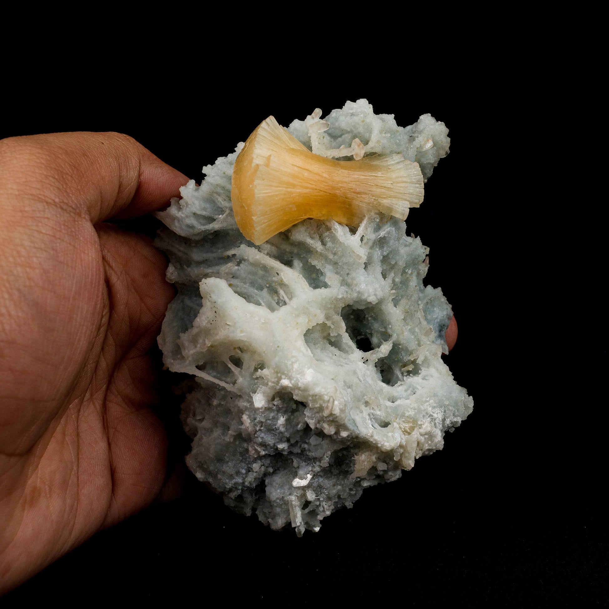Stellerite Wings on Chalcedony Coral Formation Natural Mineral Specime…  https://www.superbminerals.us/products/stellerite-wings-on-chalcedony-coral-formation-natural-mineral-specimen-b-5132  Features: A relatively new find from Jalgaon, the spherical "flower-like" aggregates have recently Stellerite while the others shaped crystals are Stilbites and Chalcedony. A fascinating grouping of fanned orange Stellerite crystals perched upon a thin, stalagmitic formation of green chalcedony. 