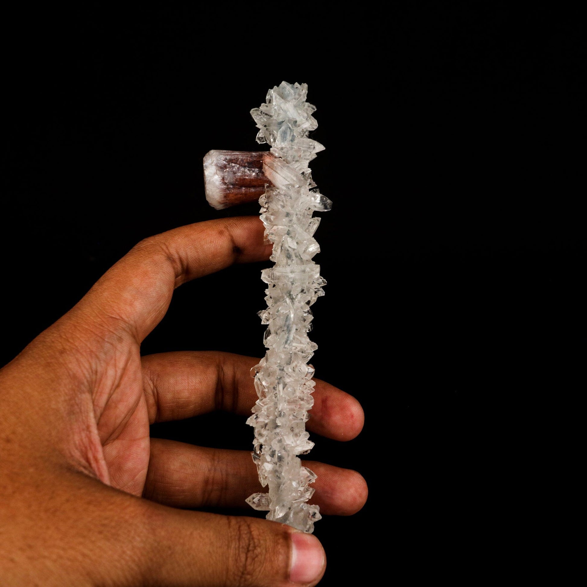 Stellerite Wings on Gemmy Apophyllite Tower Natural Mineral Specimen # B 6567 Stellerite Superb Minerals 