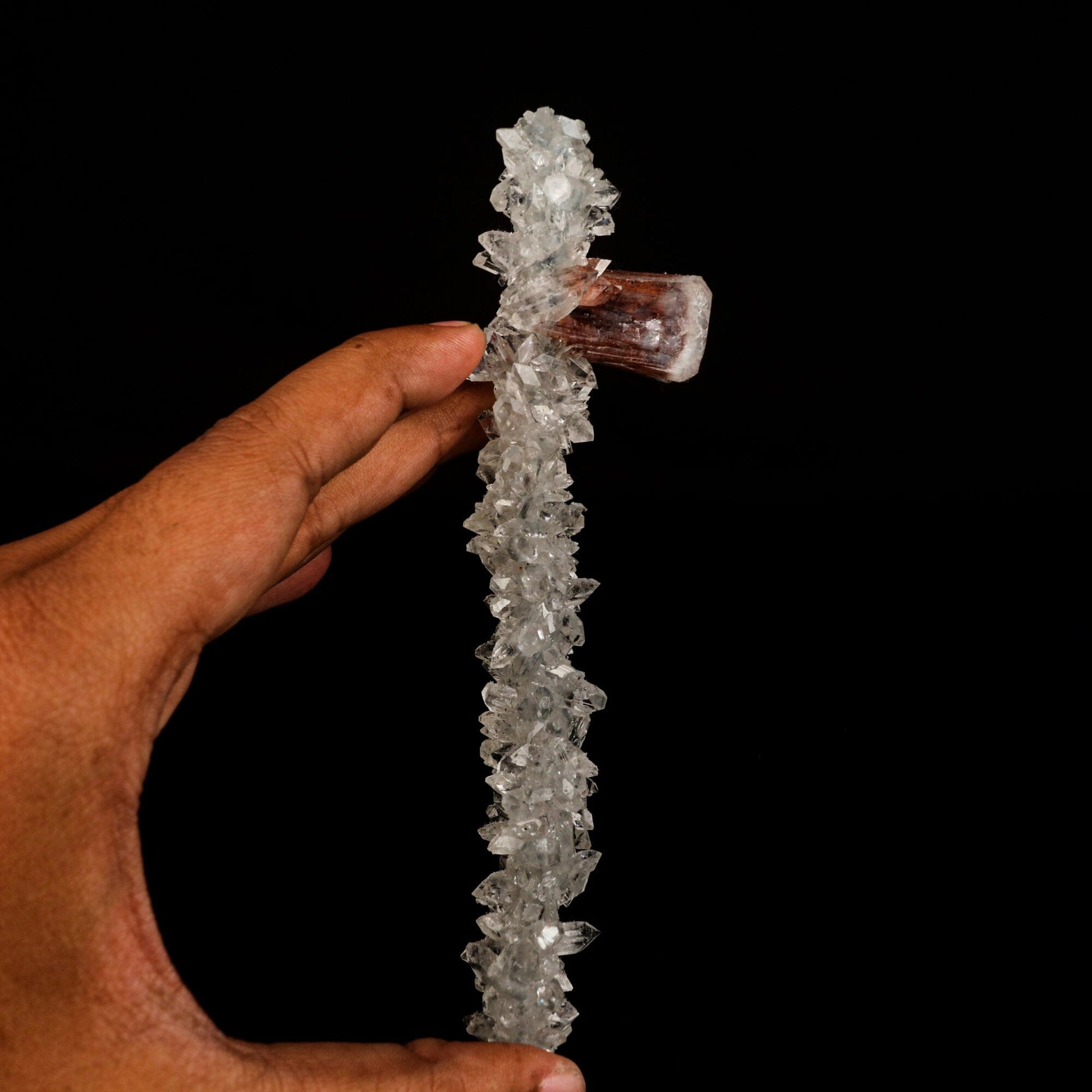Stellerite Wings on Gemmy Apophyllite Tower Natural Mineral Specimen # B 6567 Stellerite Superb Minerals 